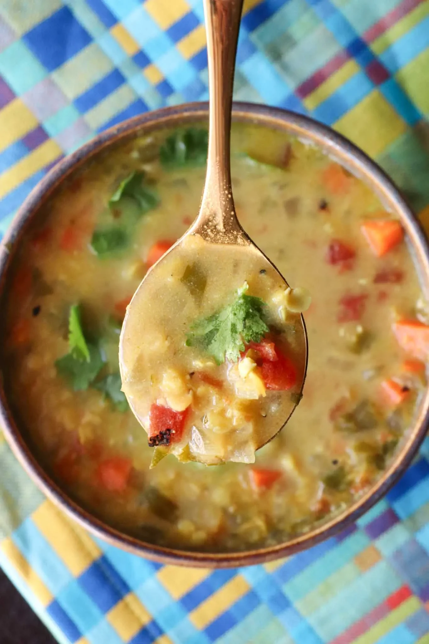 Coconut Curried Red Lentil Soup (Plant-Based)