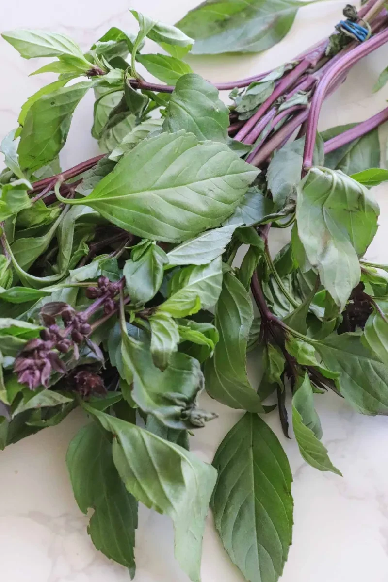 Thai Red Curry with Pumpkin