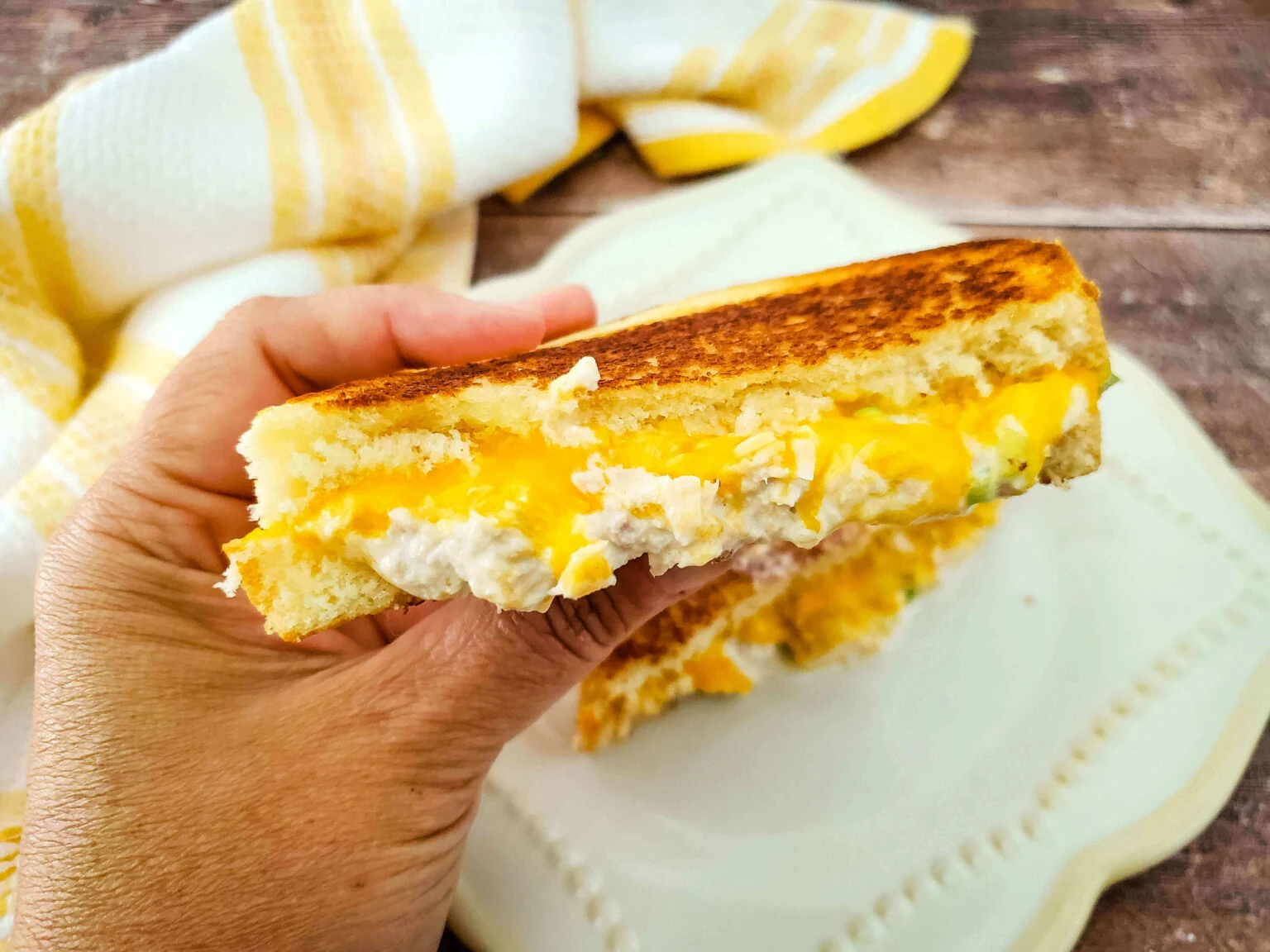 Air Fryer Tuna Melt