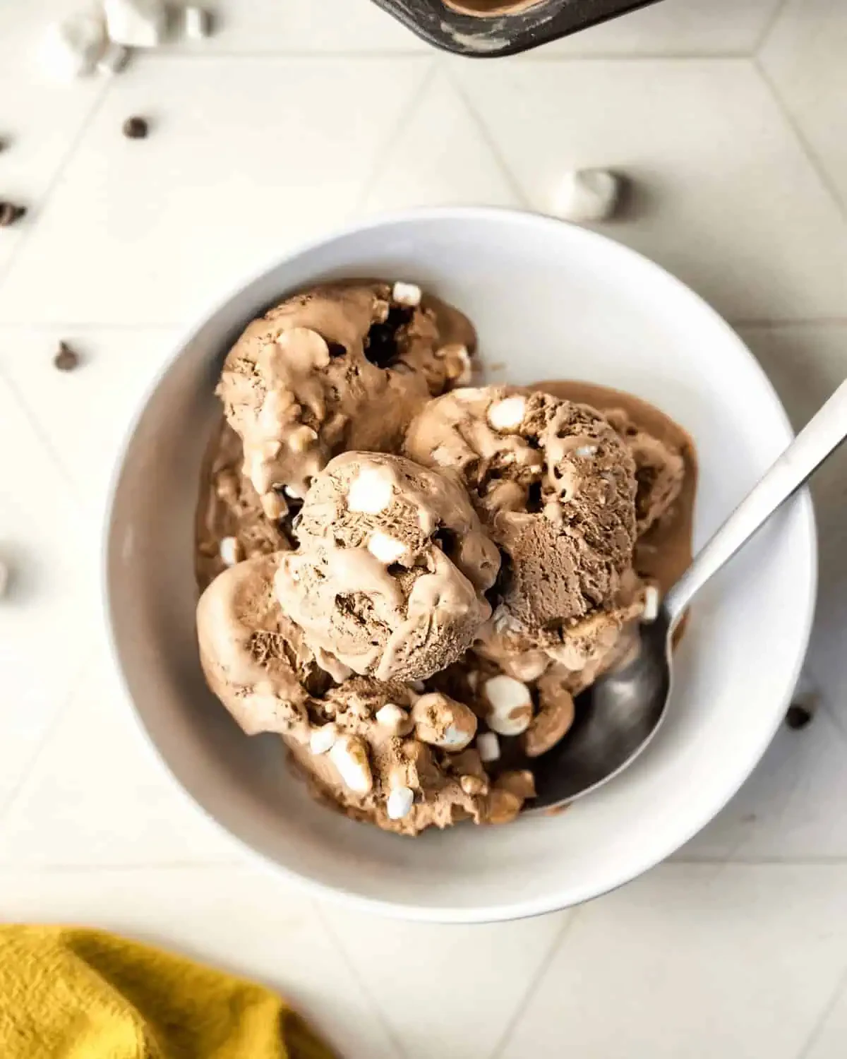 Cocoa Condensed Milk Ice Cream (No Churn)