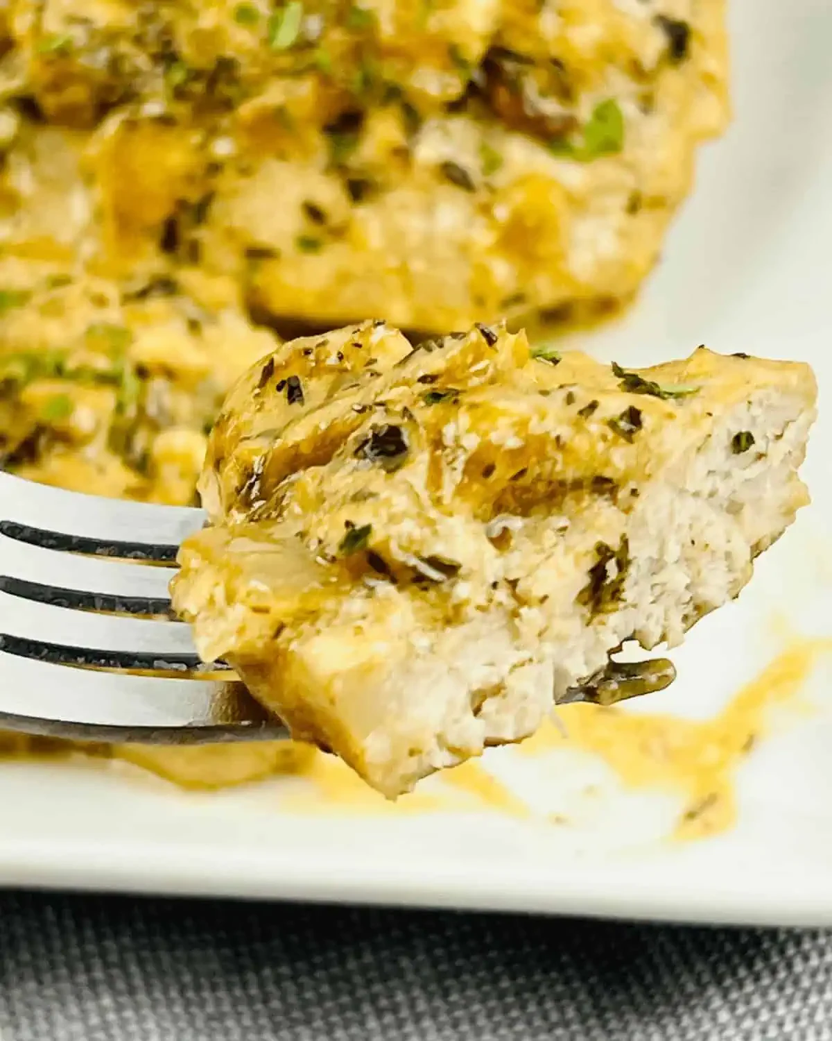 Creamy Pan Seared Pork Chops