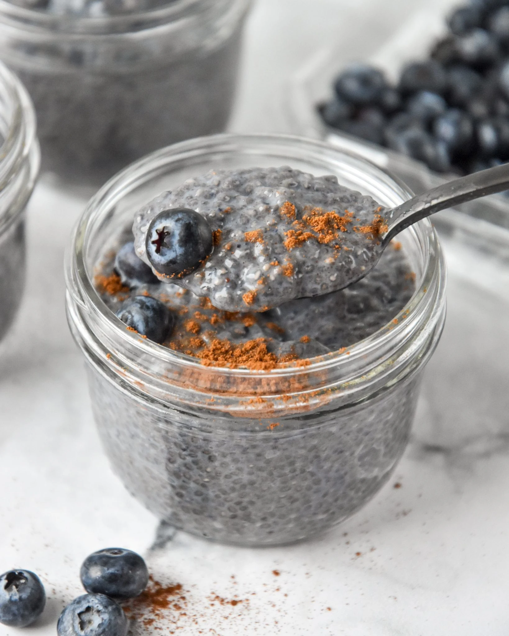 Blueberry Spice Chia Pudding