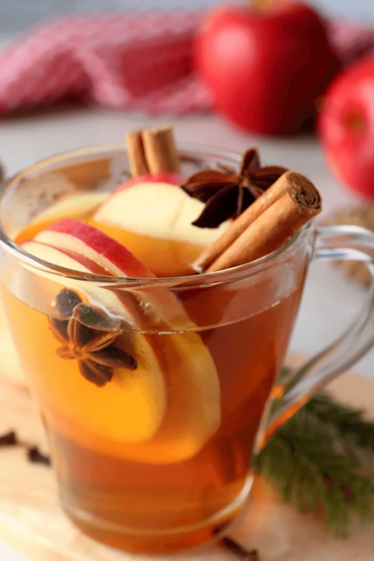 Slow Cooker Cider
