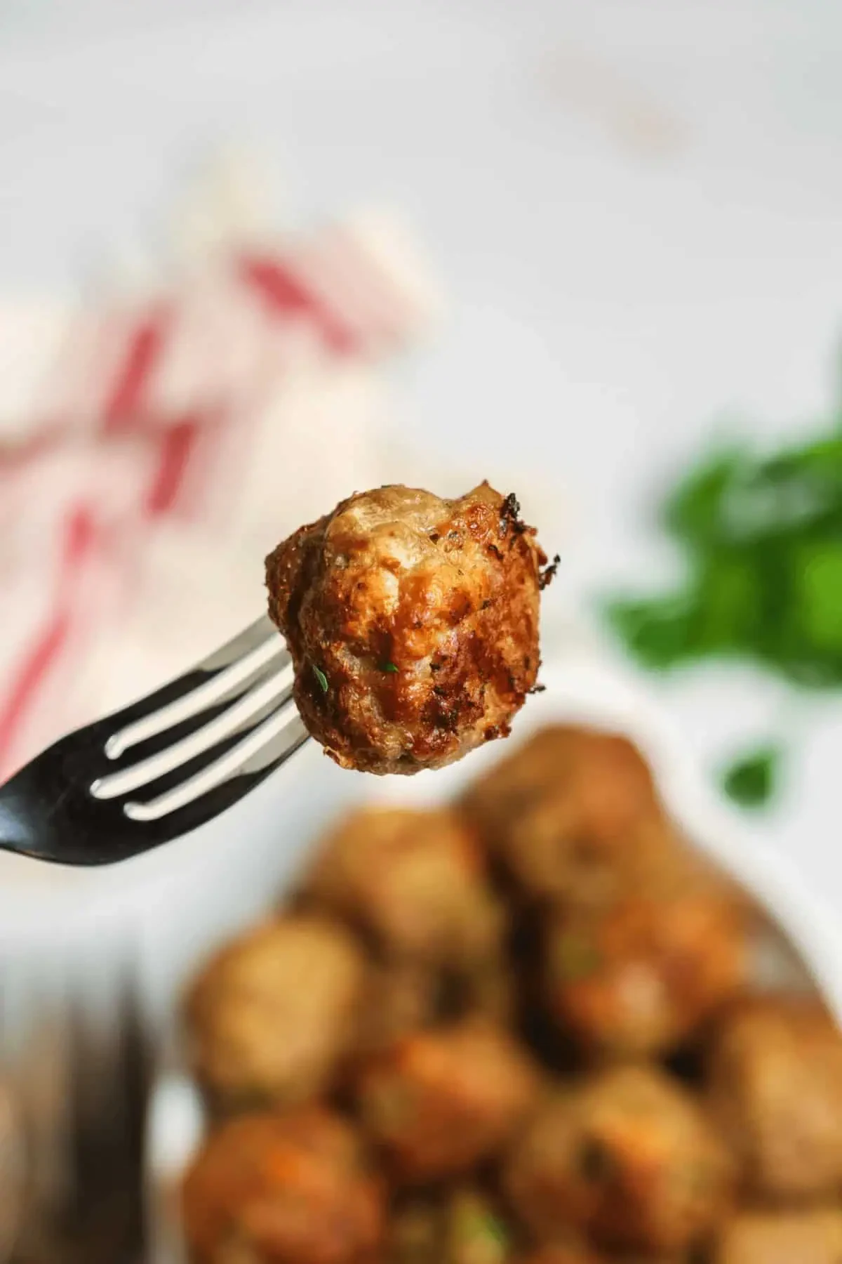 Air Fryer Turkey Meatballs