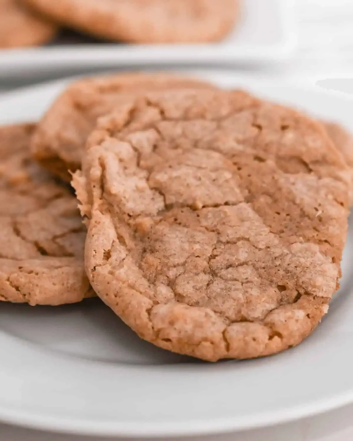 Vintage Chocolate Peanut Butter Cookies