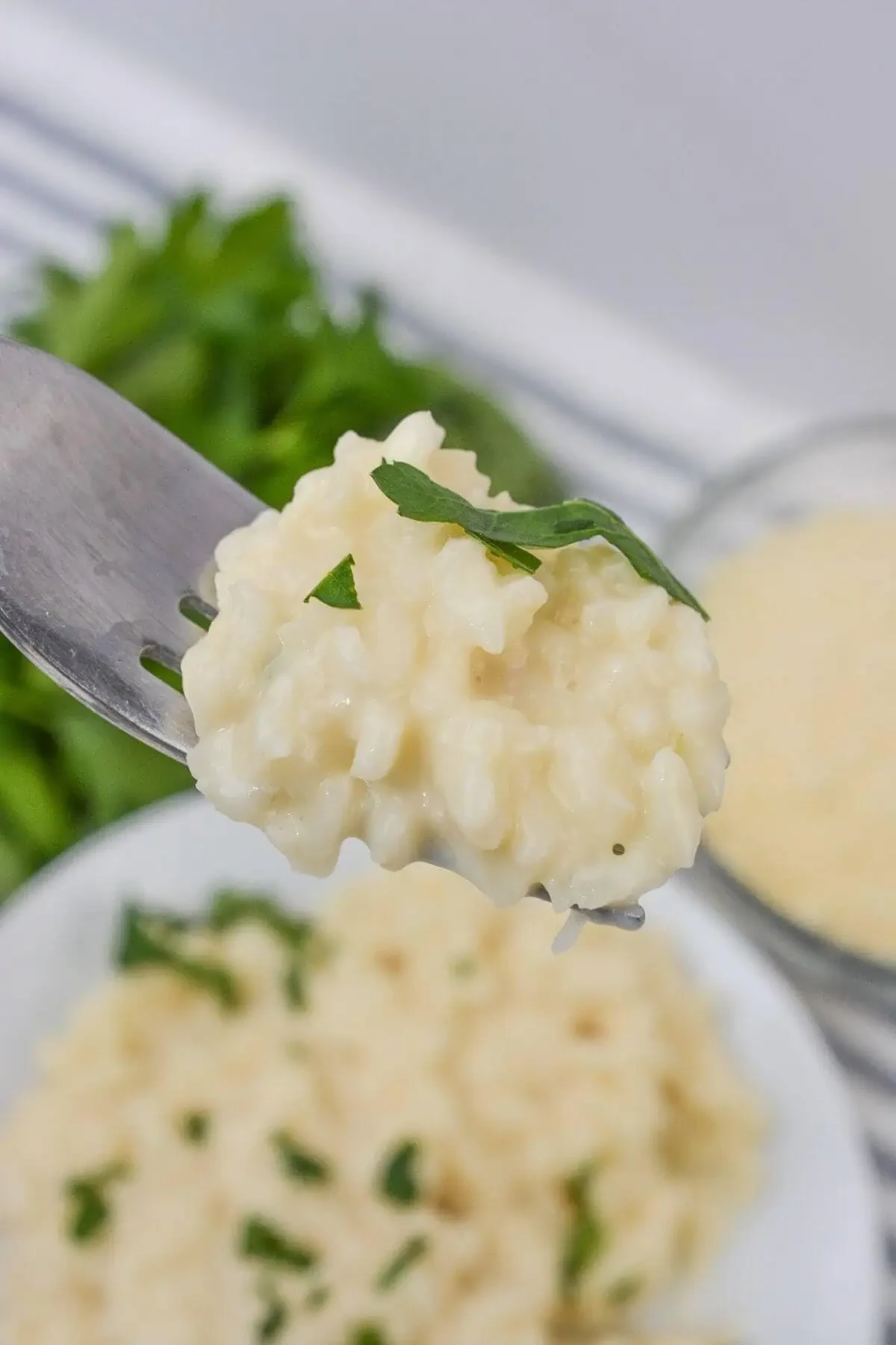 Creamy Risotto
