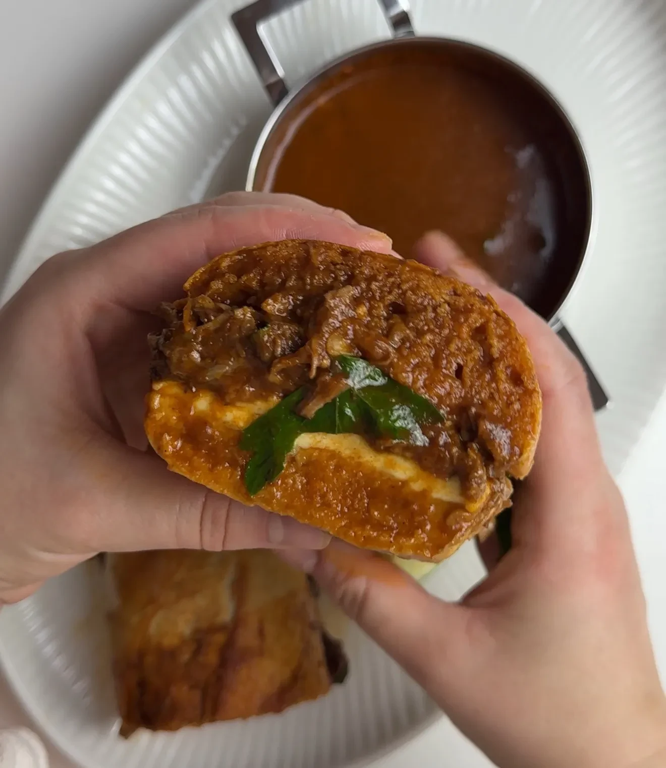 Slow-Cooked Birria Sandwich