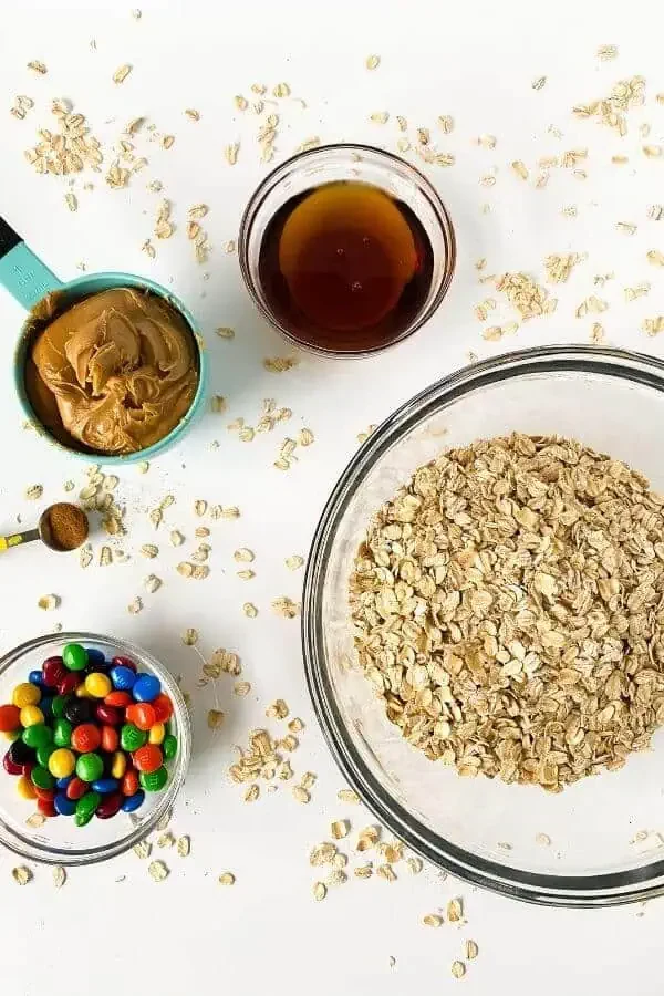 Chocolate Peanut Butter Protein Balls