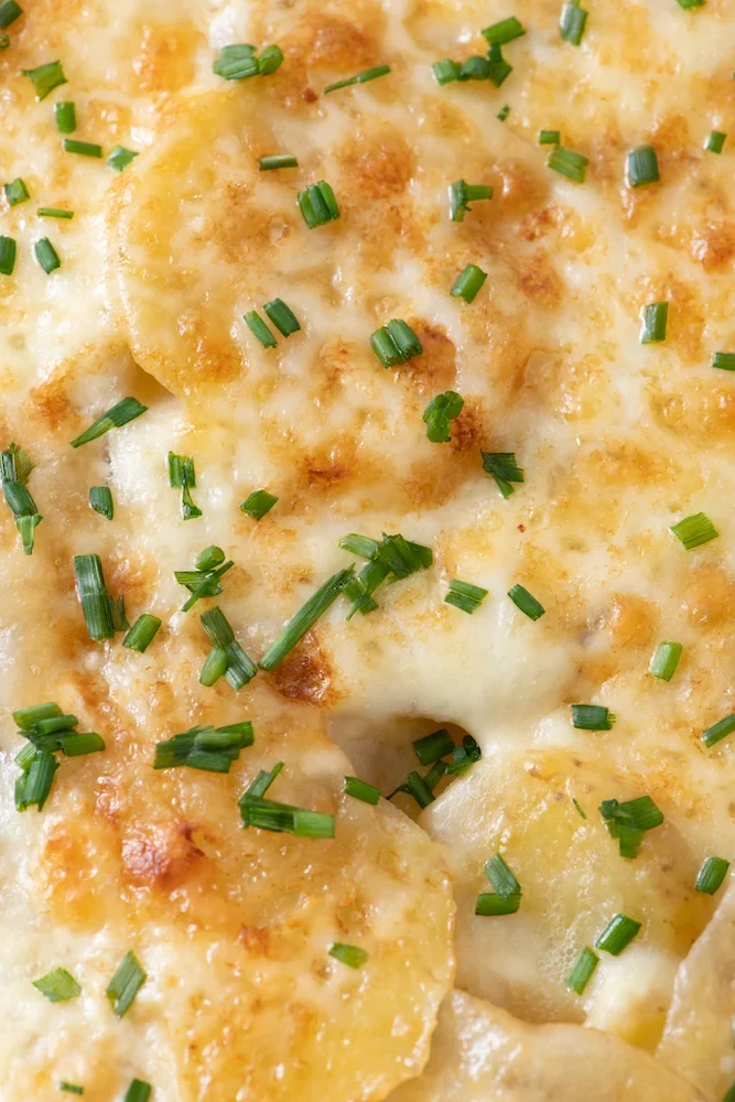 Golden Potato Gratin