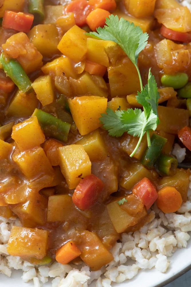 Japanese Vegetable Curry