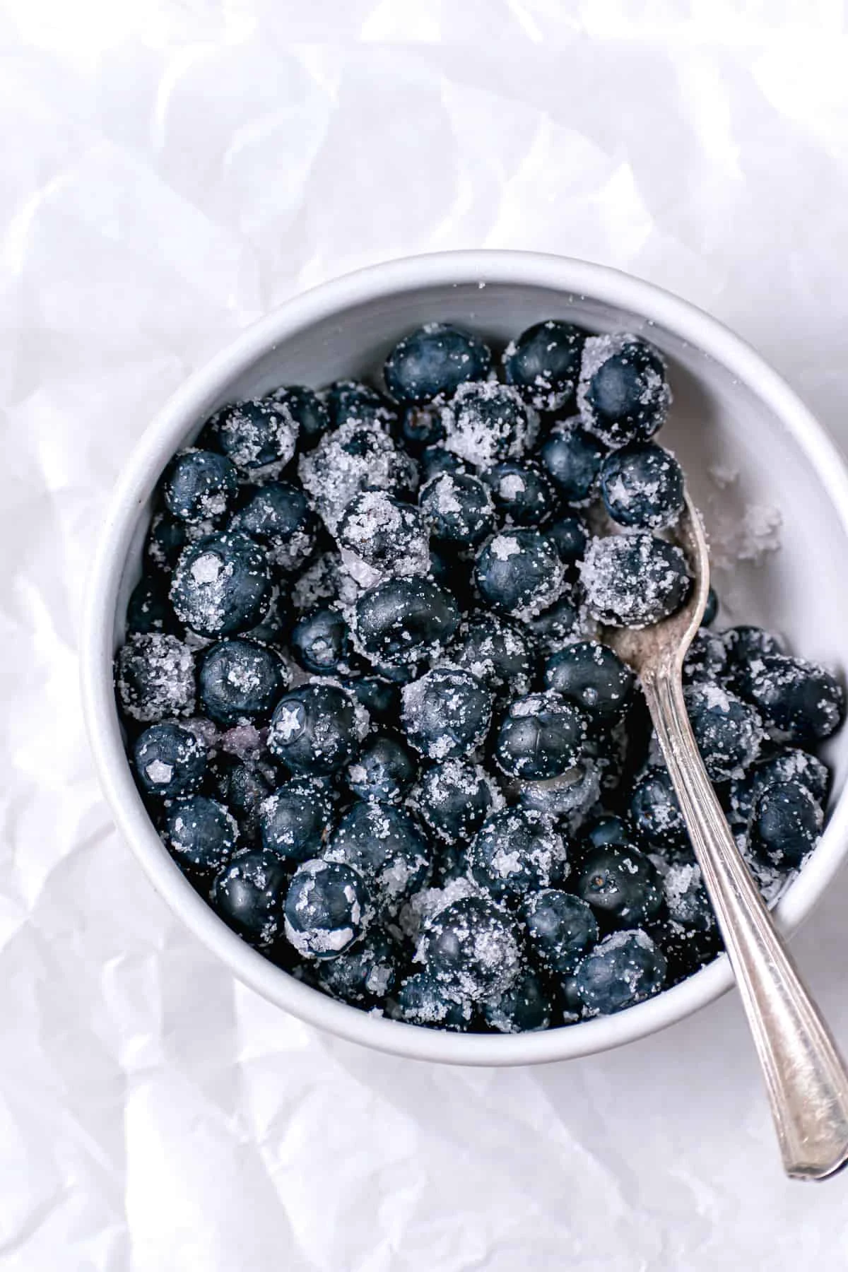 Mini Blueberry Galettes