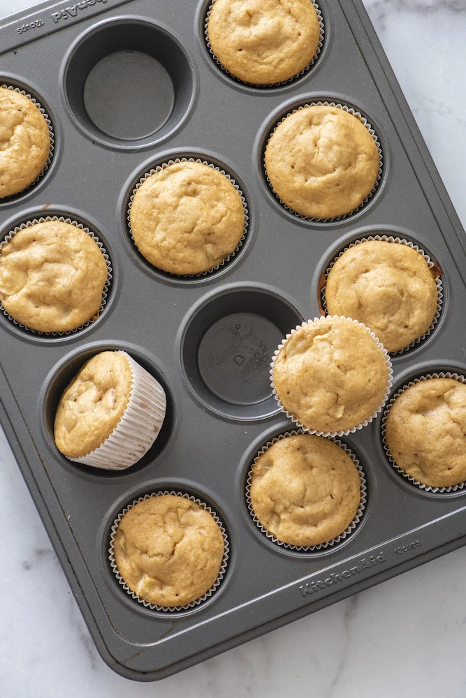 Apple Applesauce Muffins