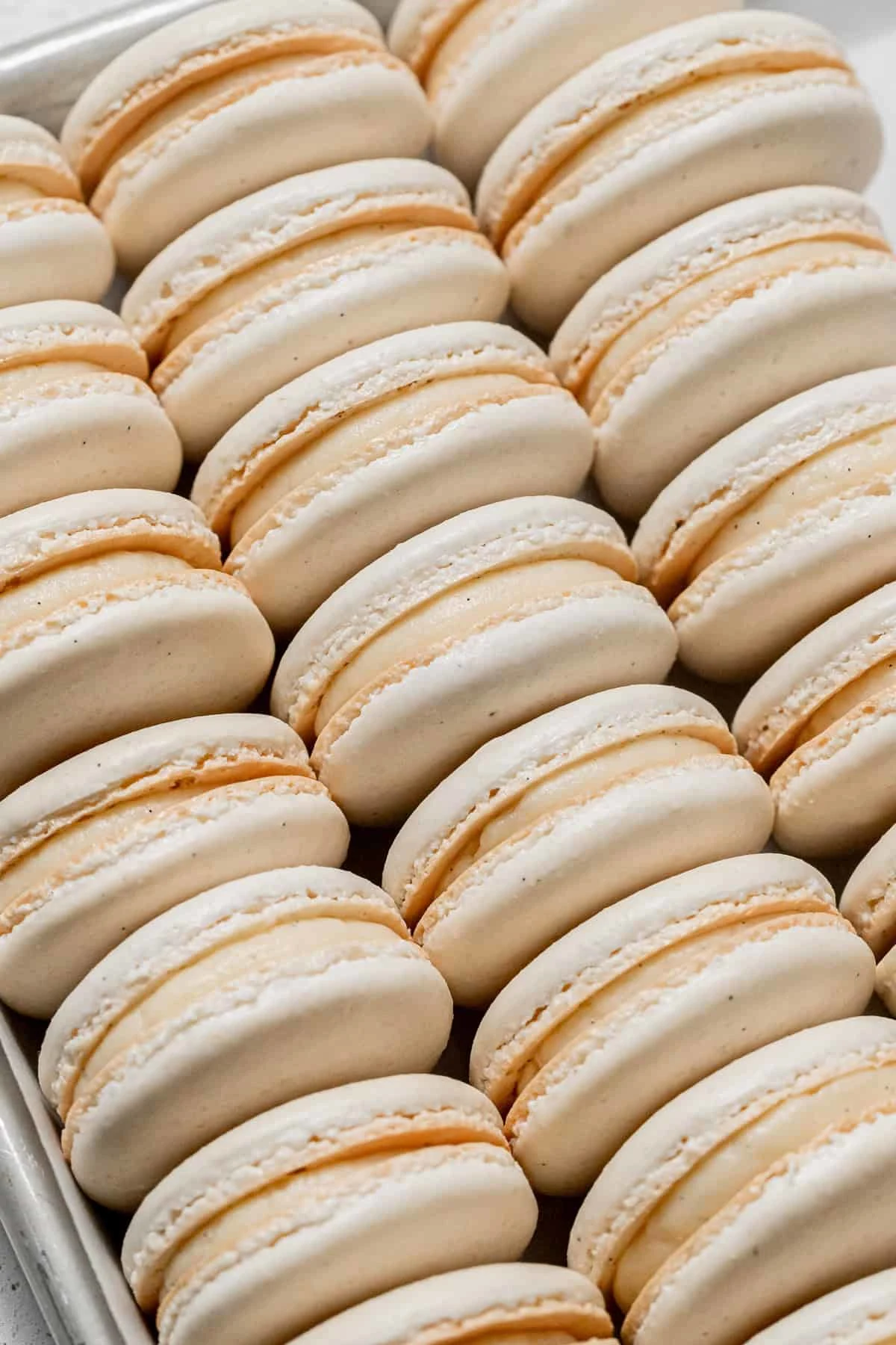 Vanilla Bean Macarons