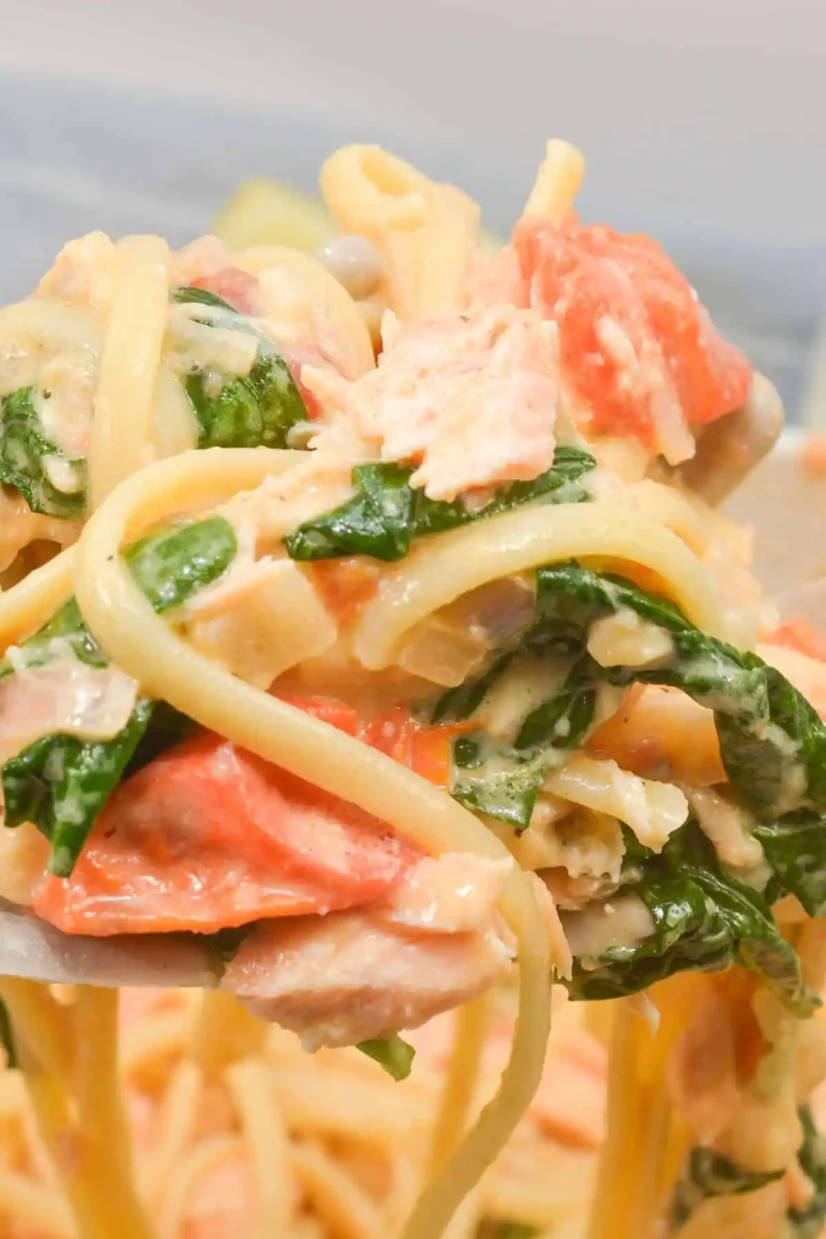 Salmon Pasta Recipe