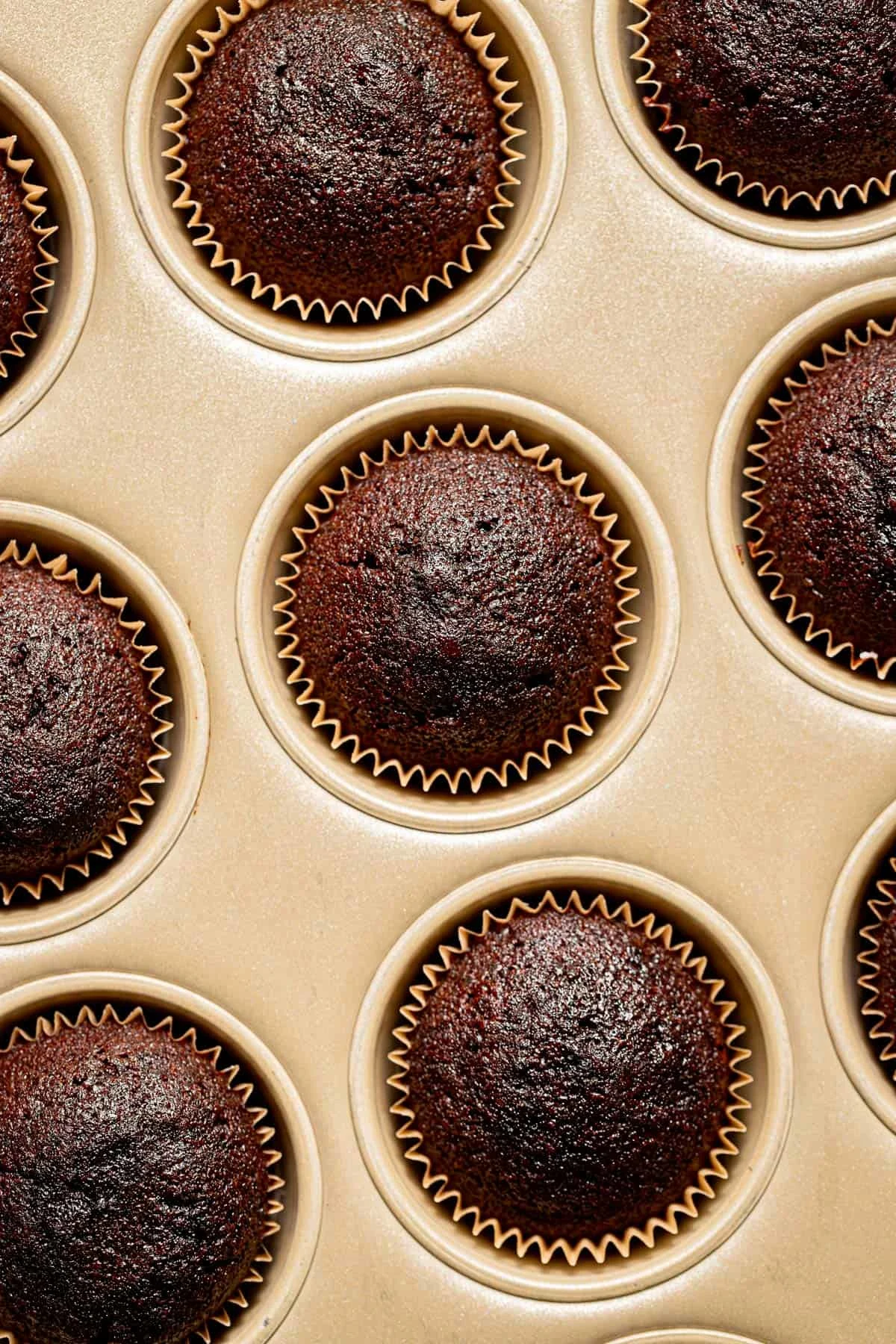 Chocolate Peanut Butter Cup Cupcakes