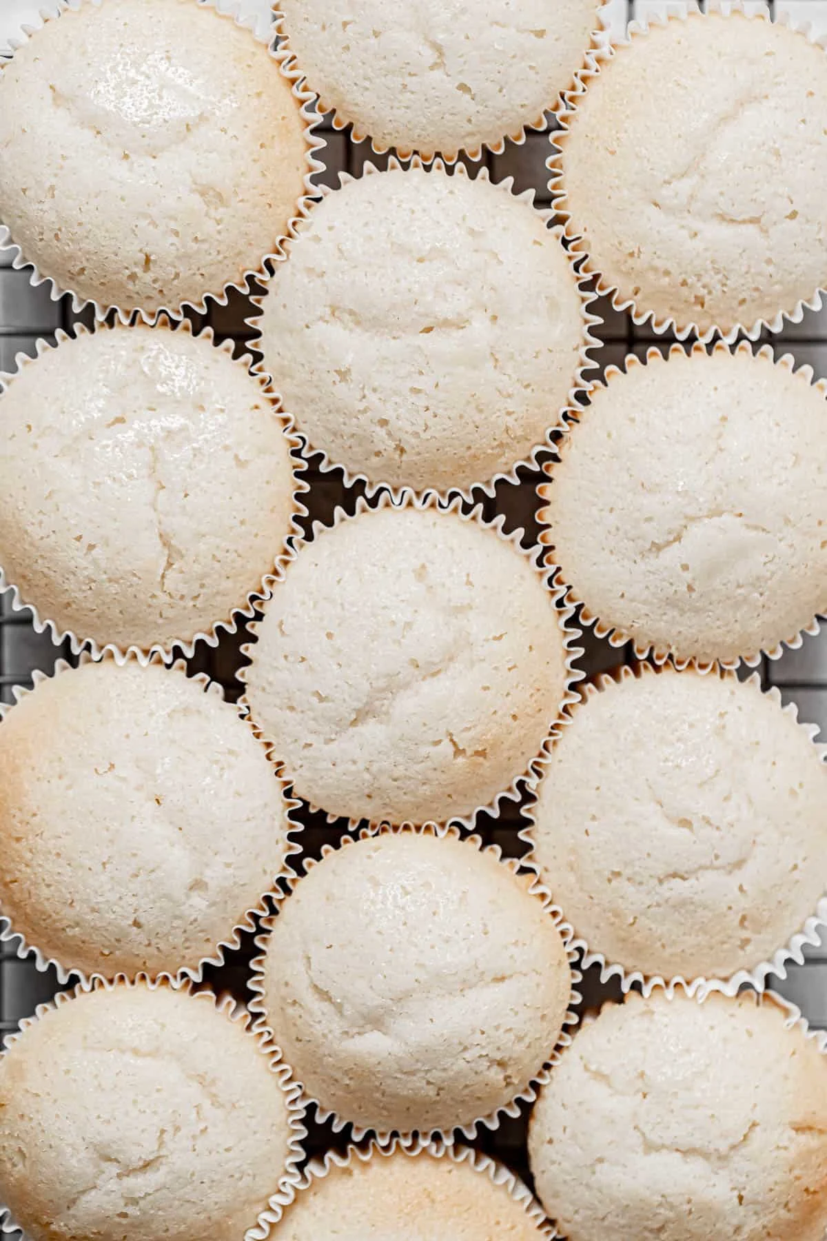 Coconut Cupcakes with Coconut Cream Cheese Frosting
