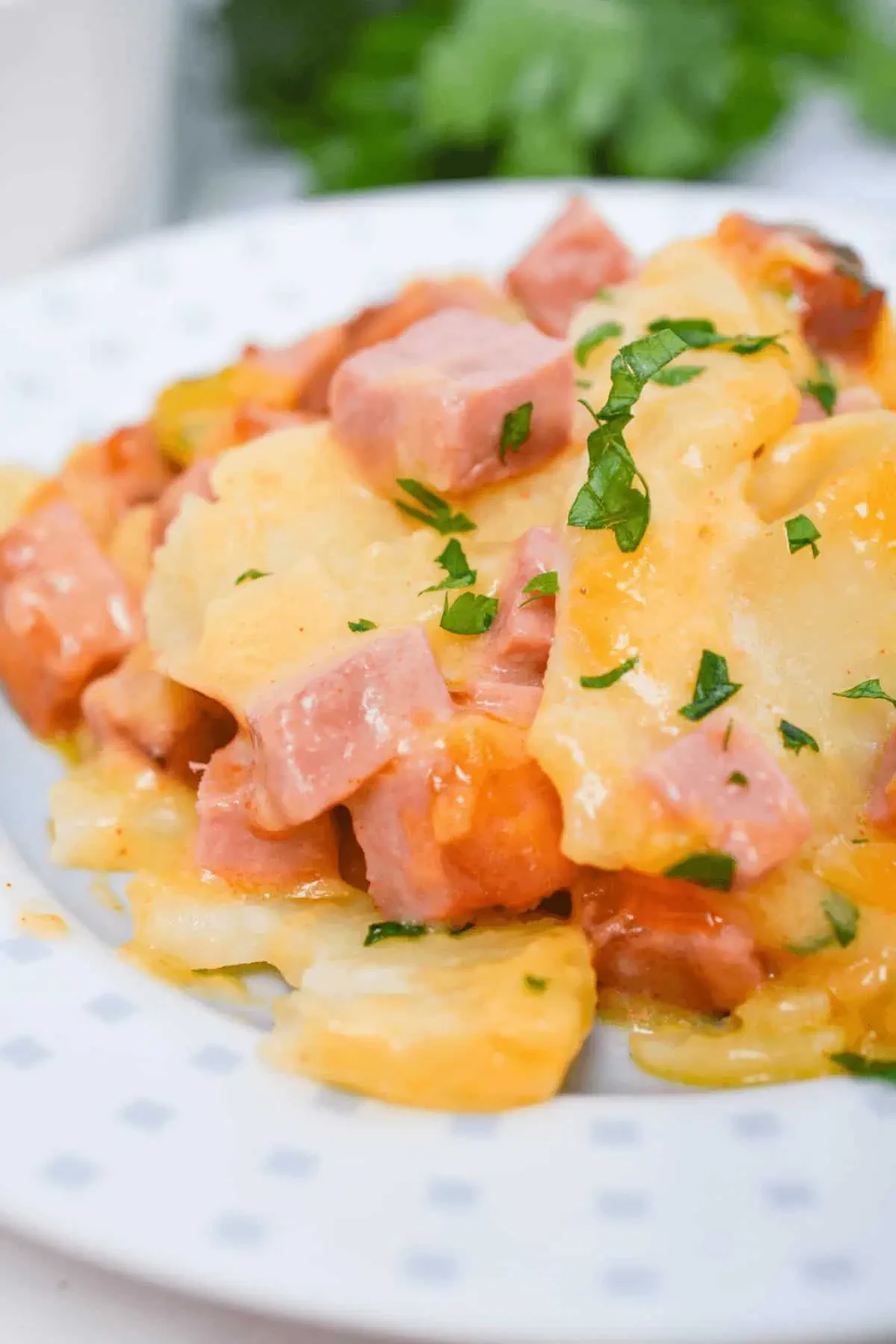 Cheesy Ham and Potato Casserole
