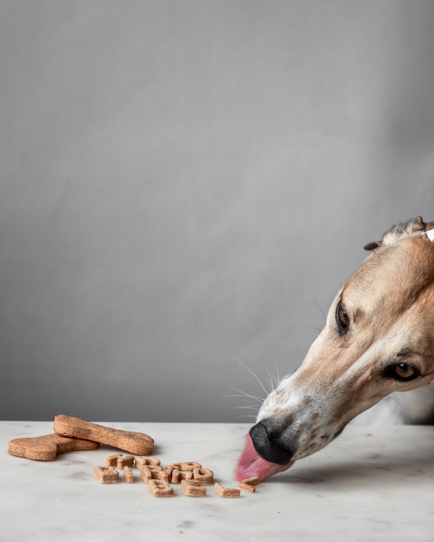 Homemade Peanut Butter Dog Cookies