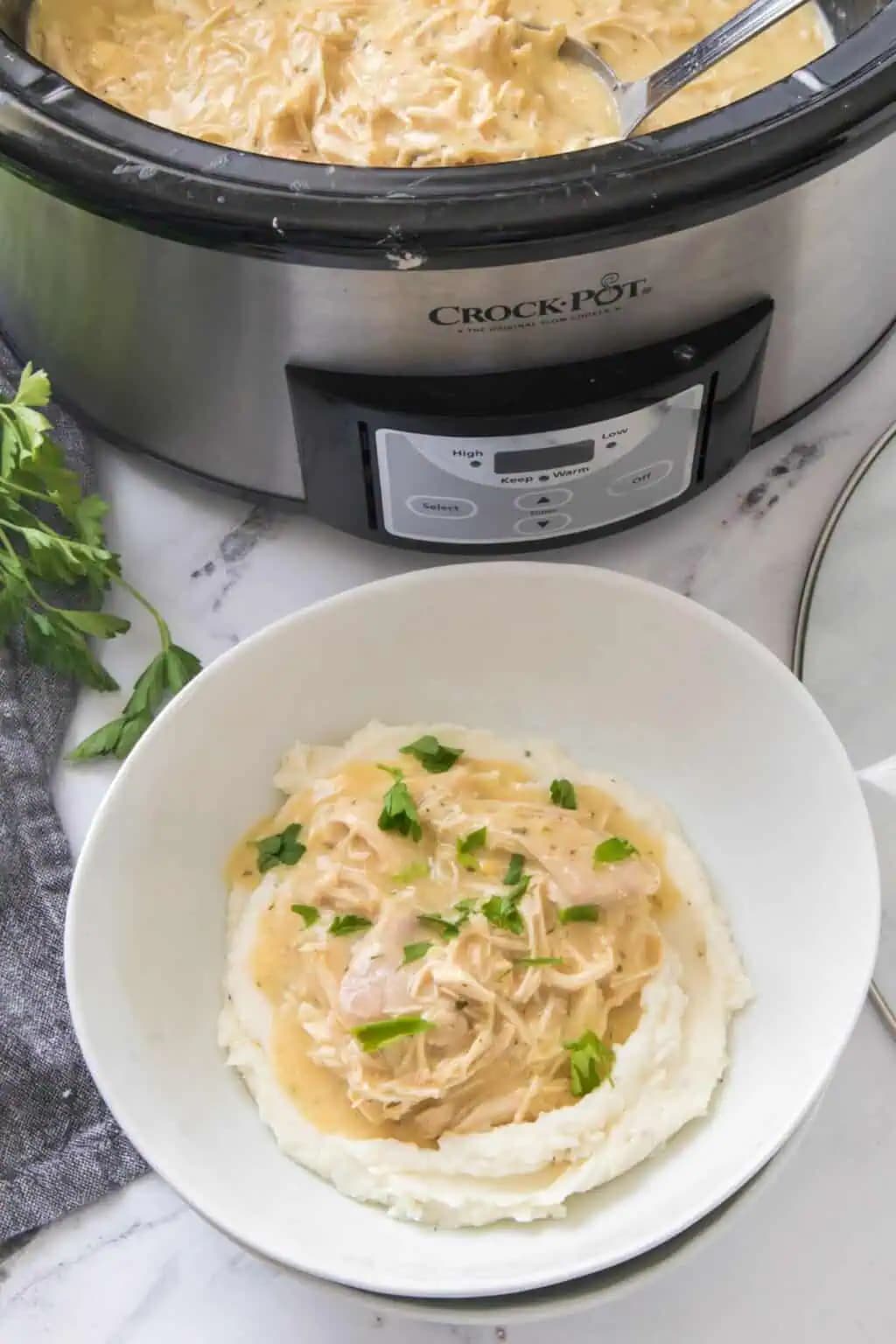 Slow Cooker Chicken and Gravy