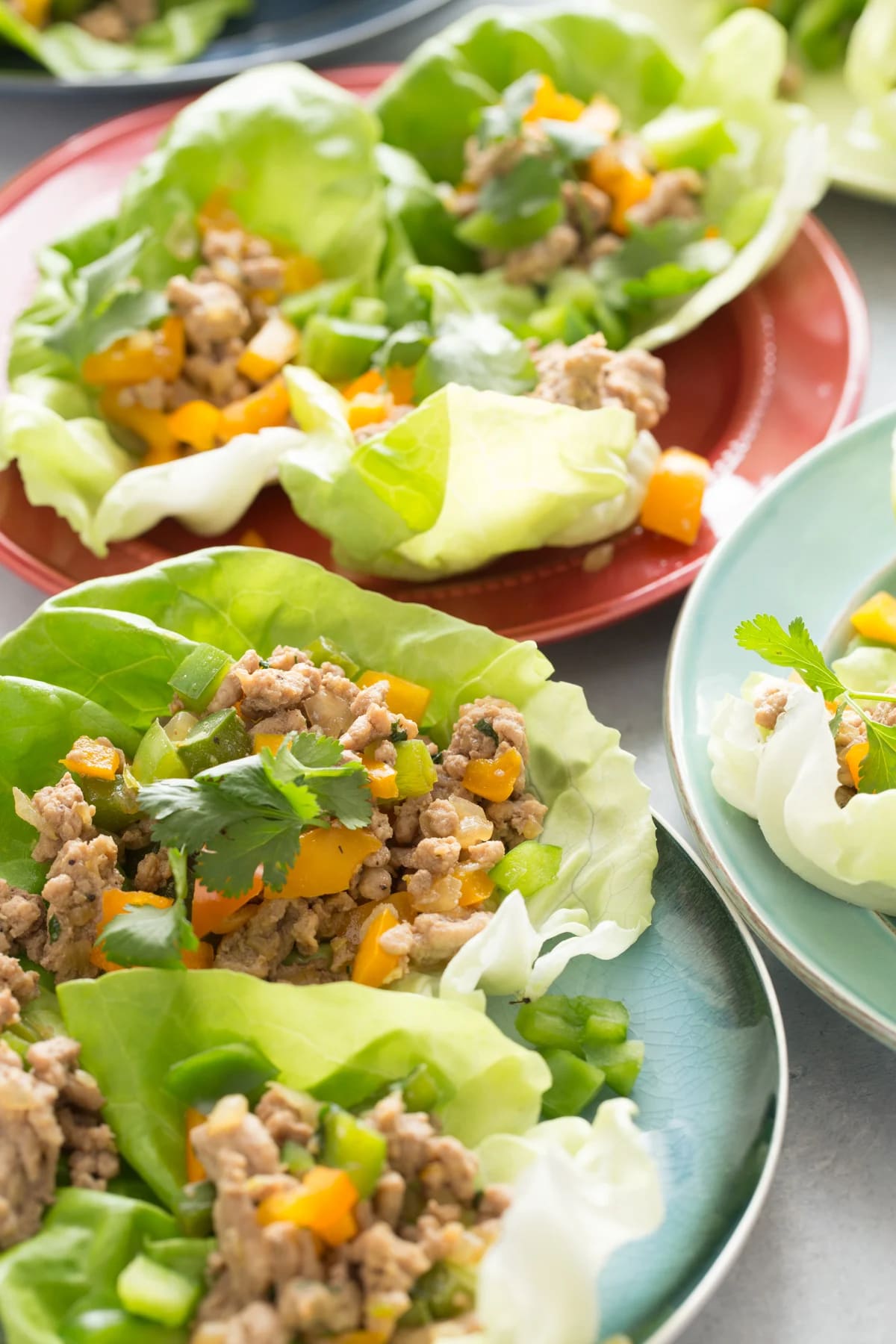 Stir-Fried Chicken in Lettuce Wraps