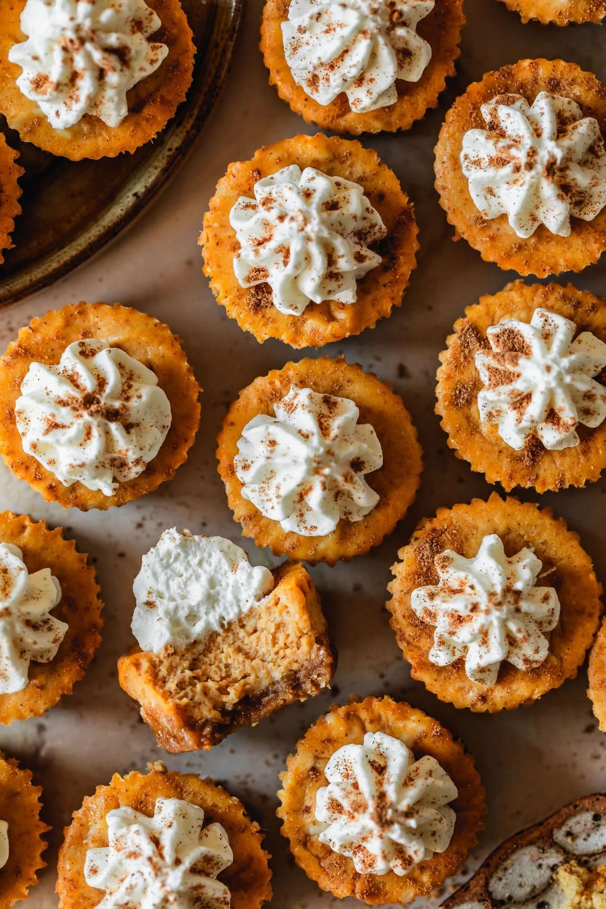 Little Pumpkin Spice Cheesecake Bites