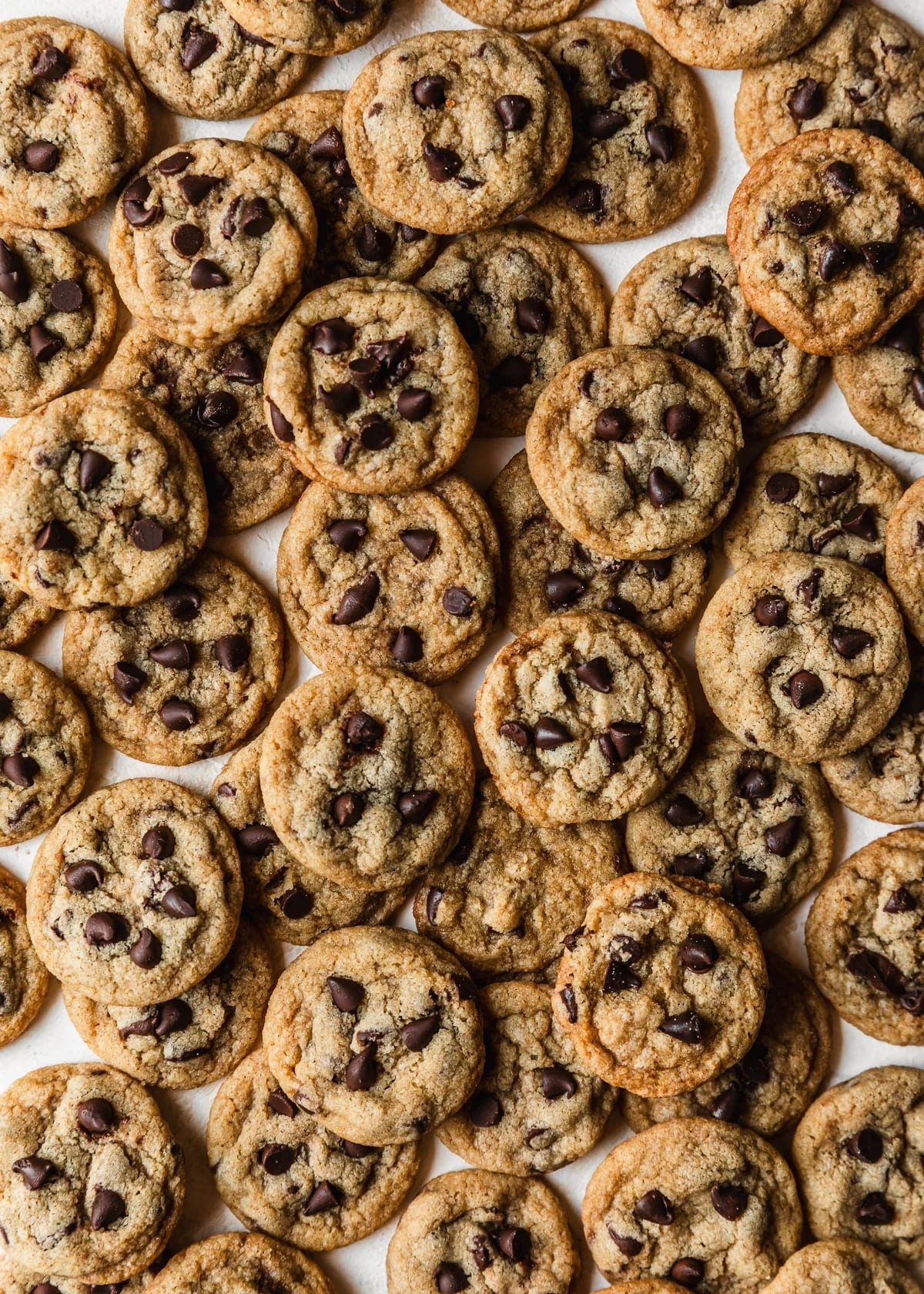 Chewy Mini Chocolate Chip Cookies
