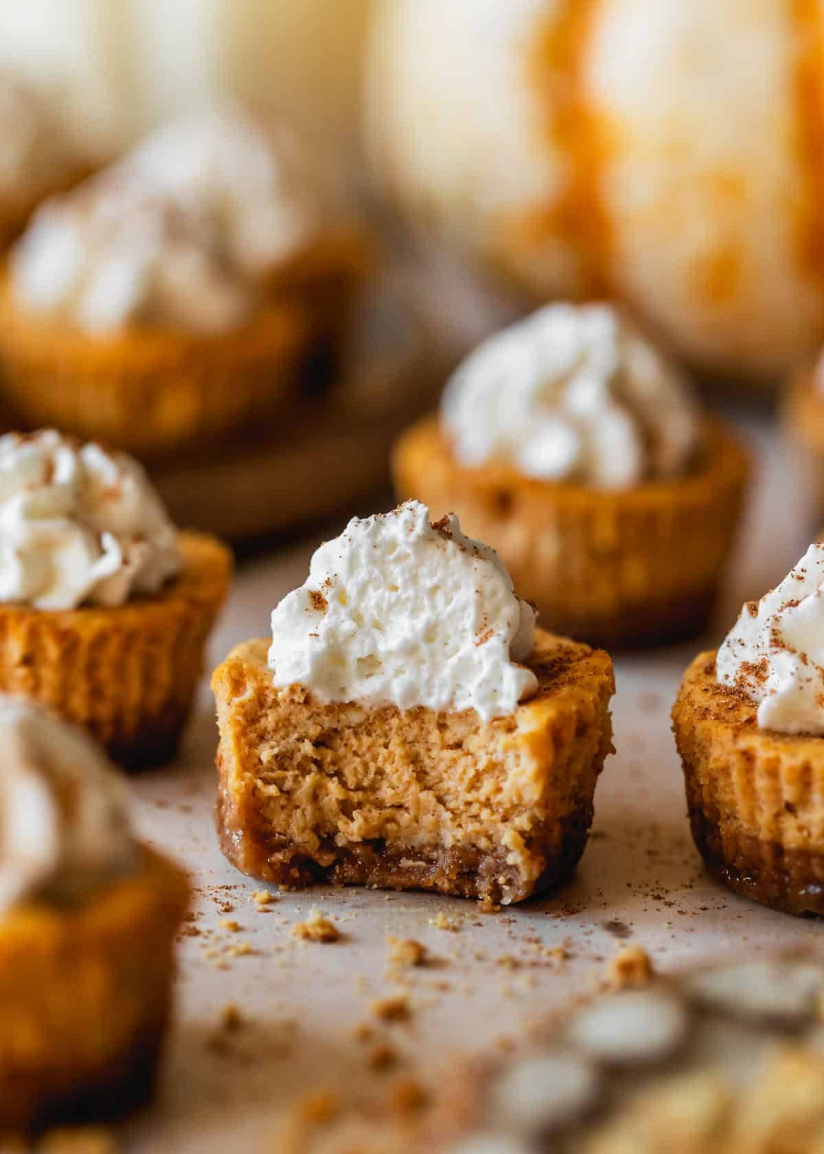 Little Pumpkin Spice Cheesecake Bites