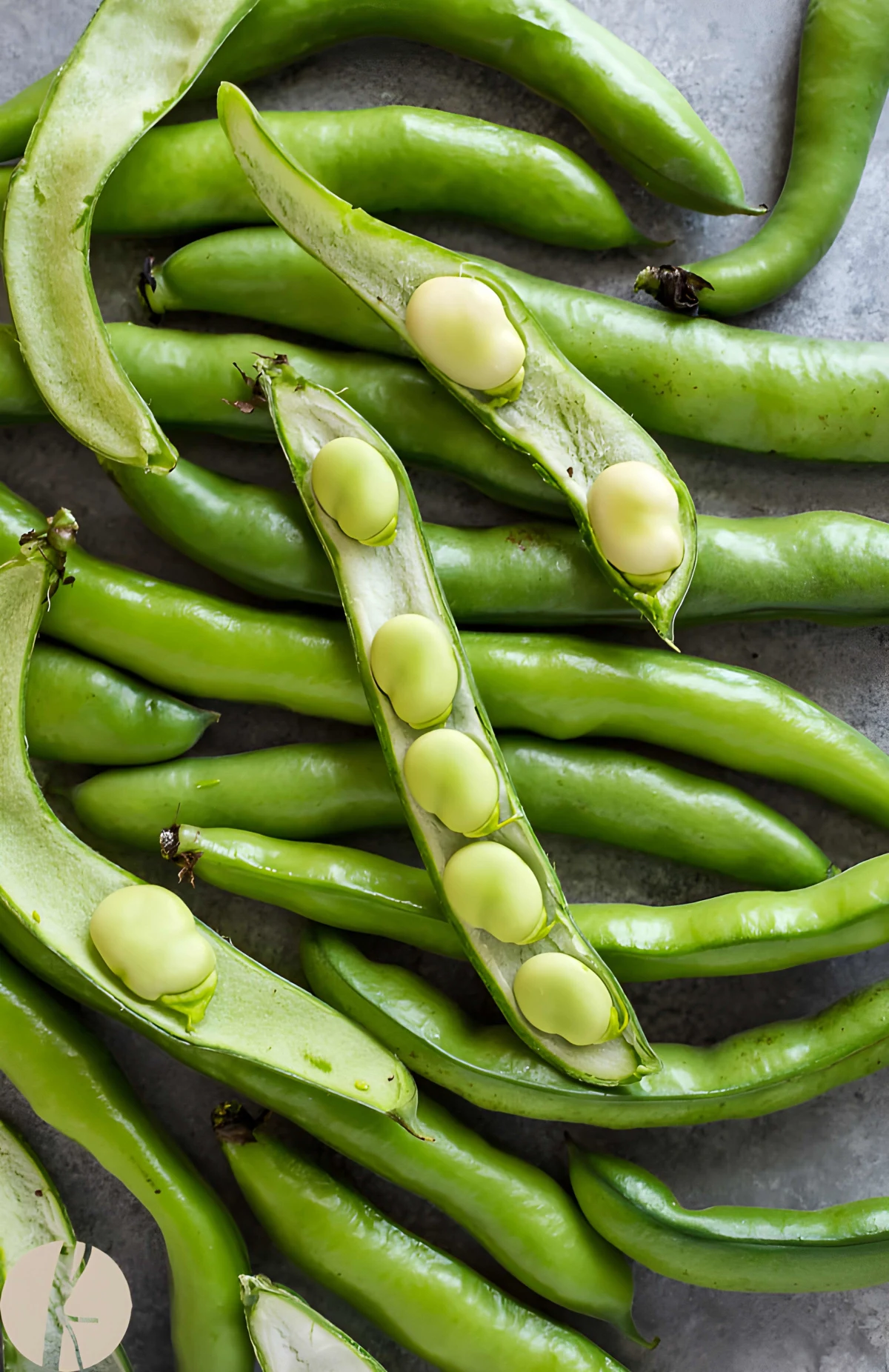 How To Cook Fava Beans