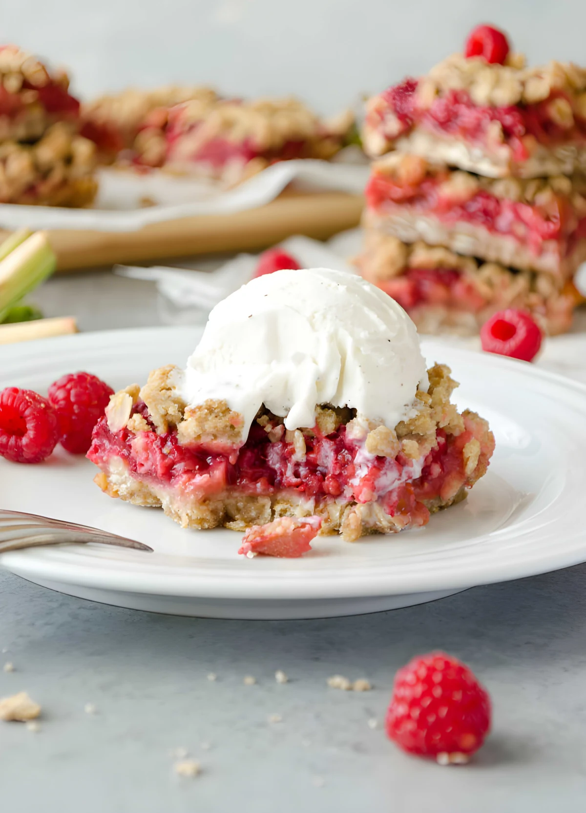 Raspberry Rhubarb Bars