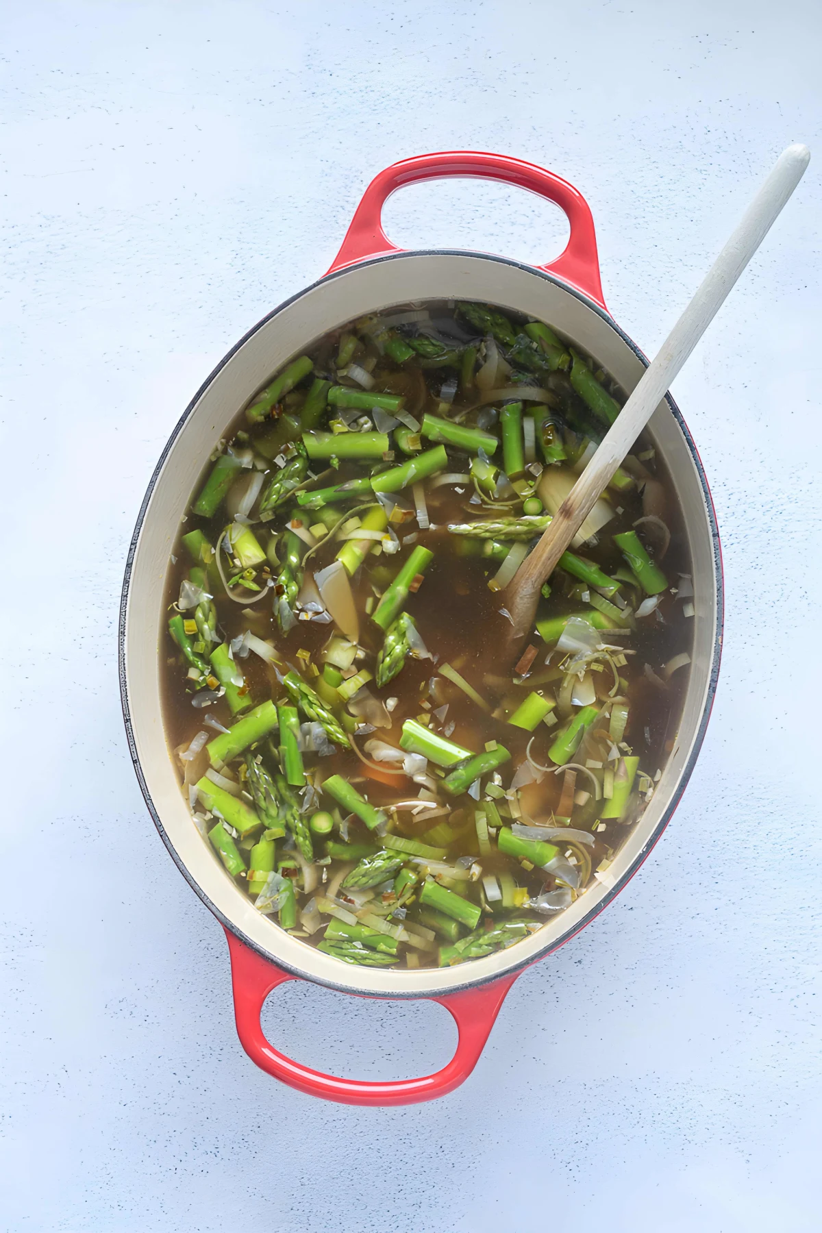 Spring Vegetable Soup