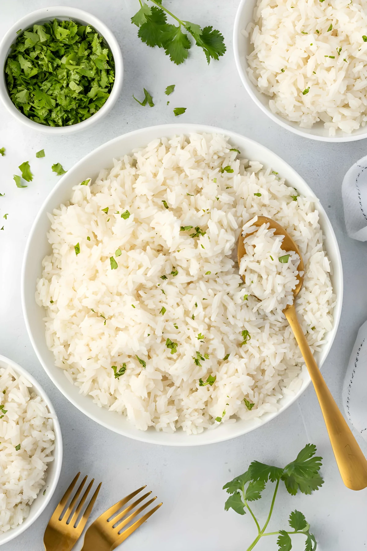 Coconut Rice Recipe