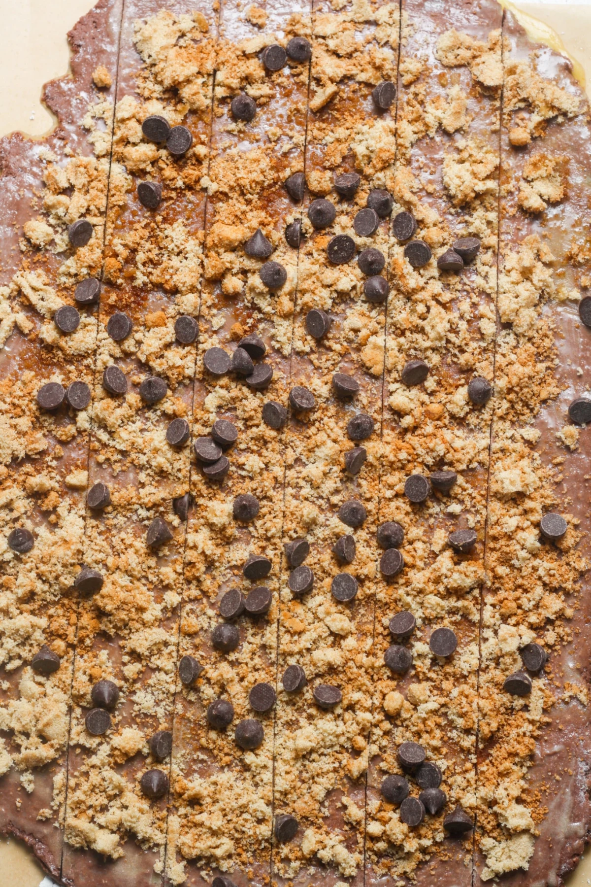 Chocolate Cinnamon Rolls