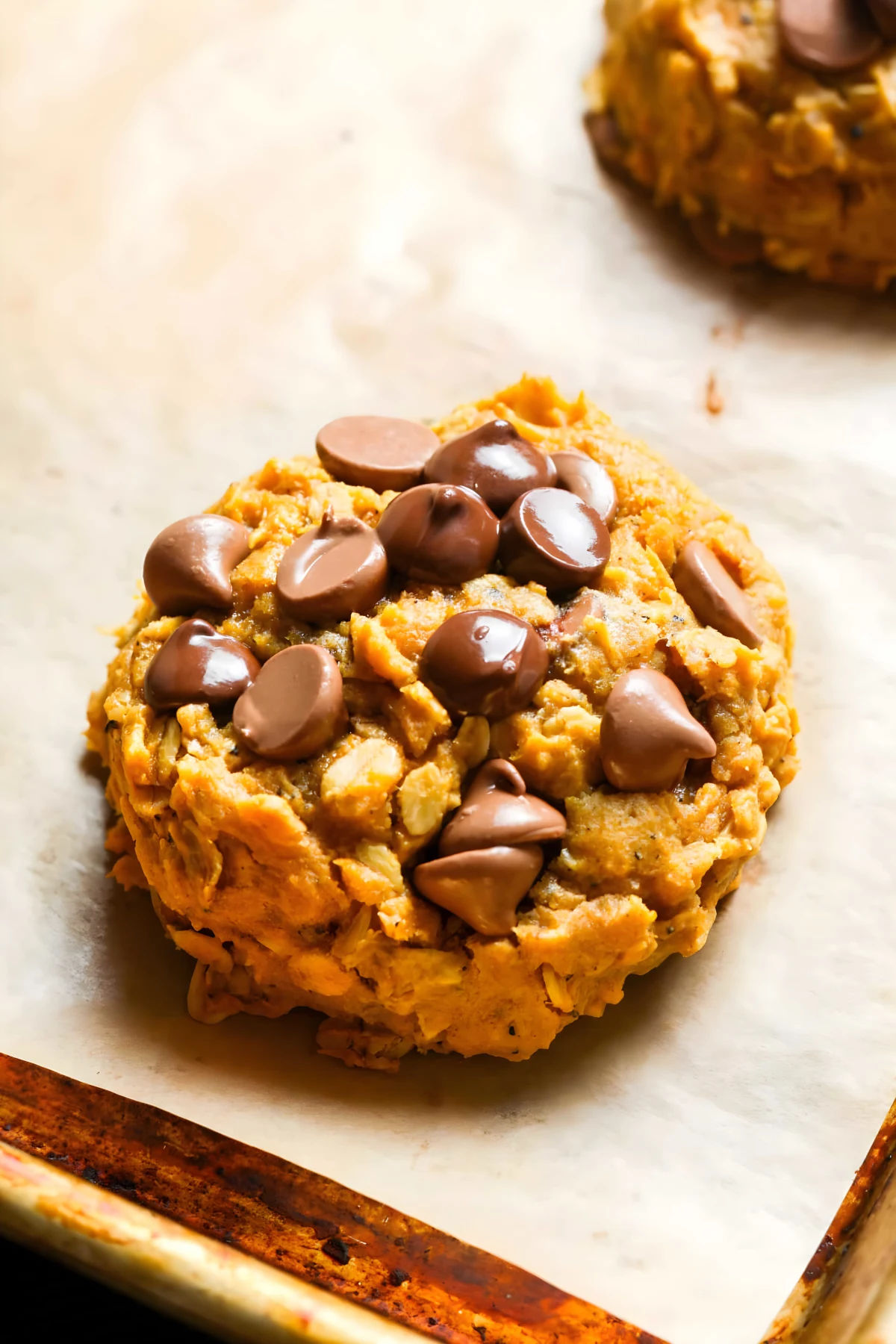 Pumpkin Oatmeal Chocolate Chip Cookies