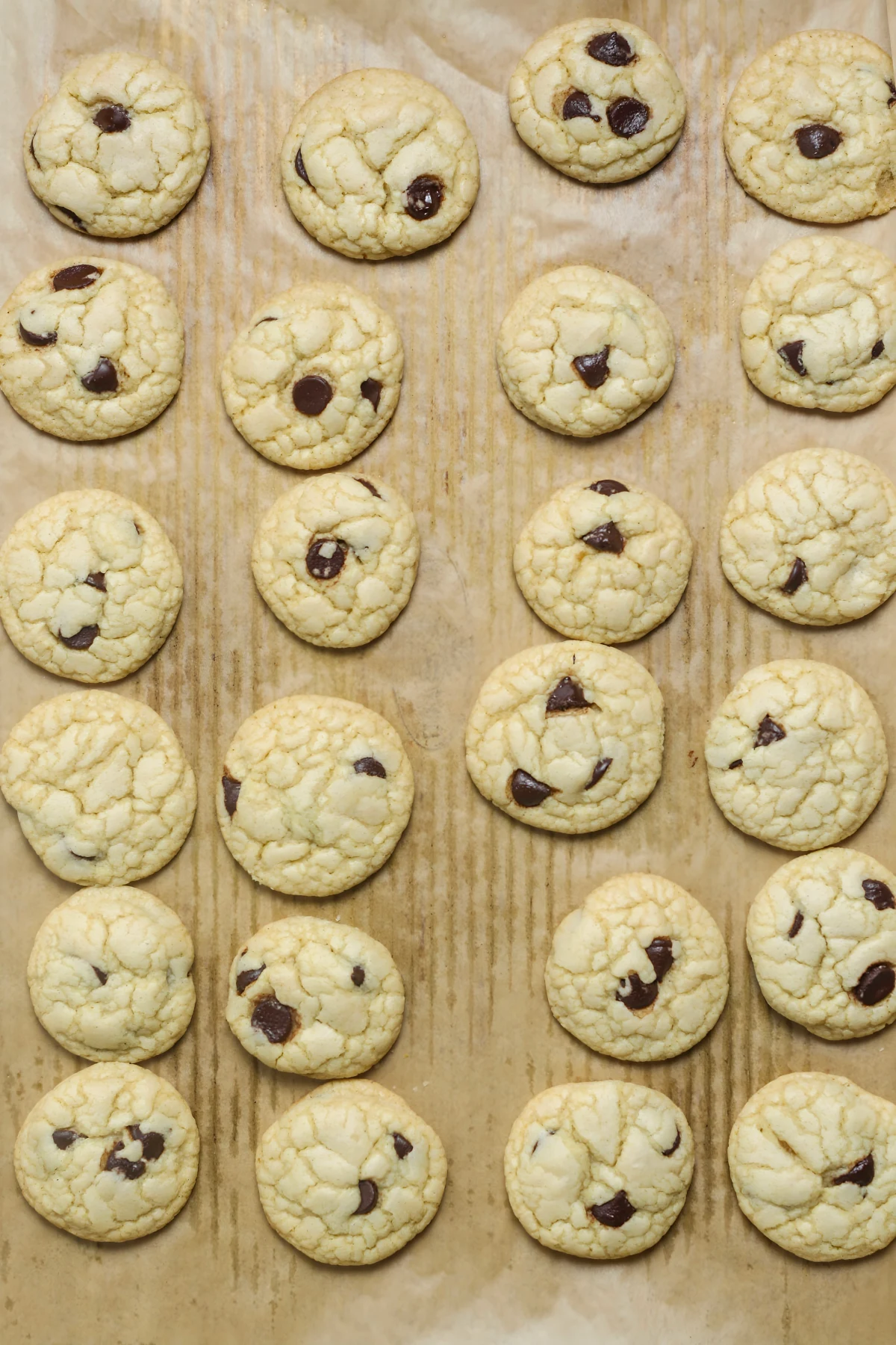 Mint Chocolate Chip Cookies