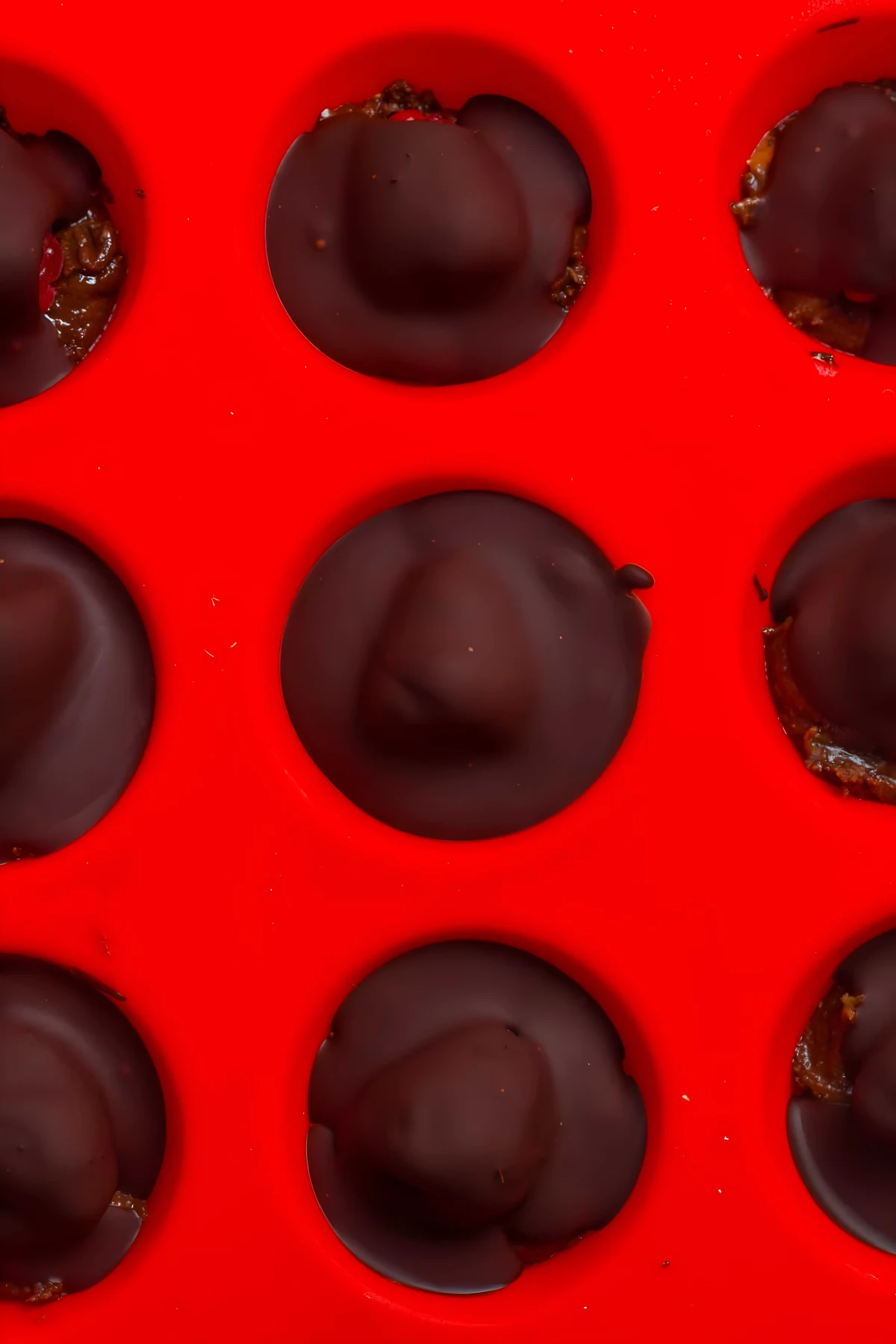 Chocolate Covered Raspberries