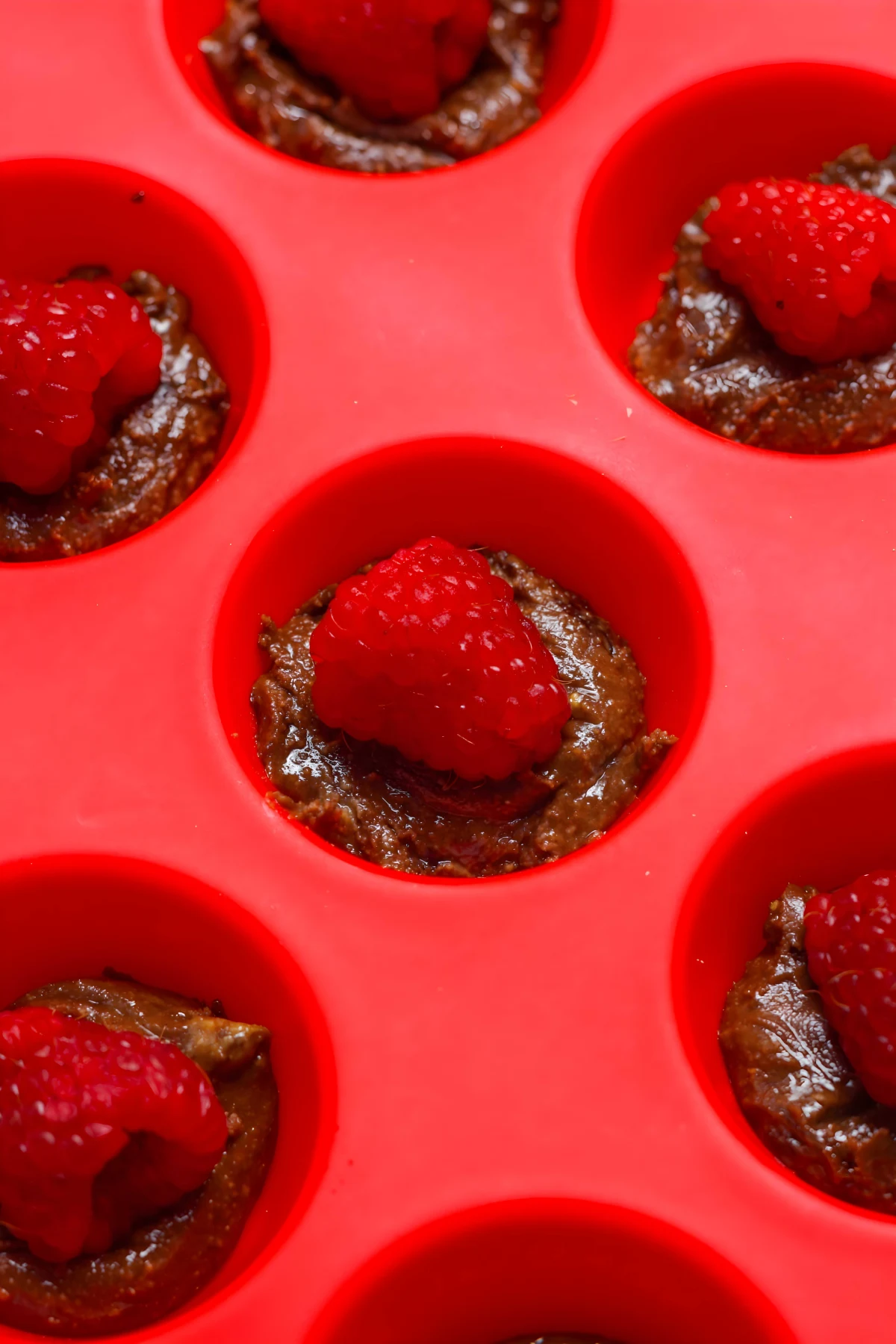 Chocolate Covered Raspberries