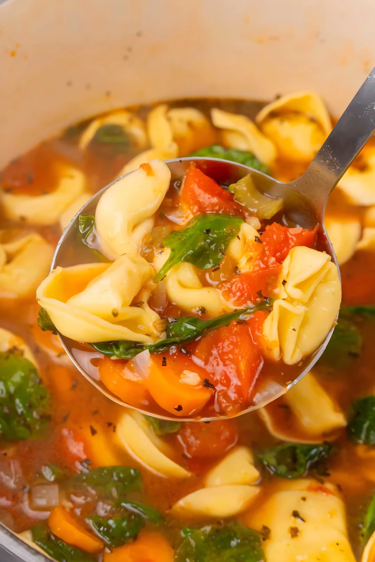 Tortellini Soup