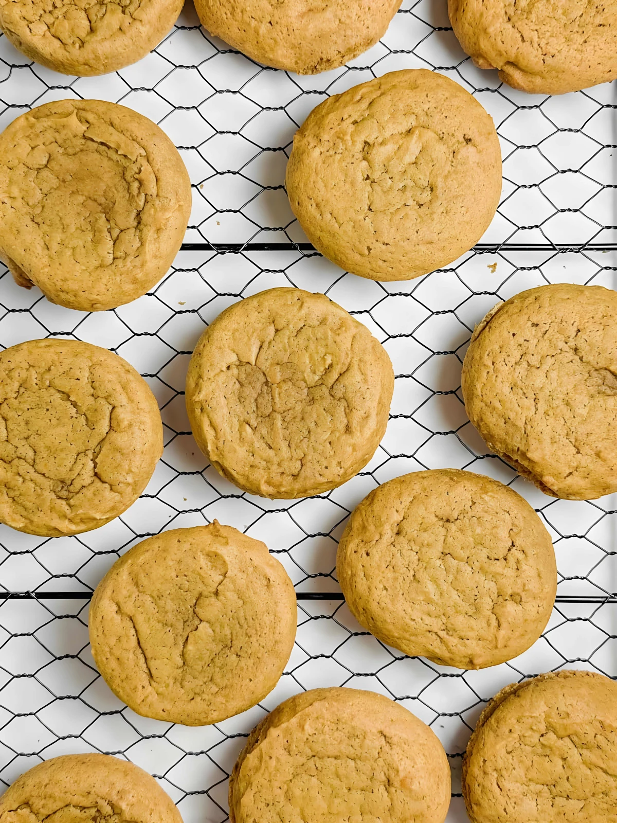 Pumpkin Spice Cookies