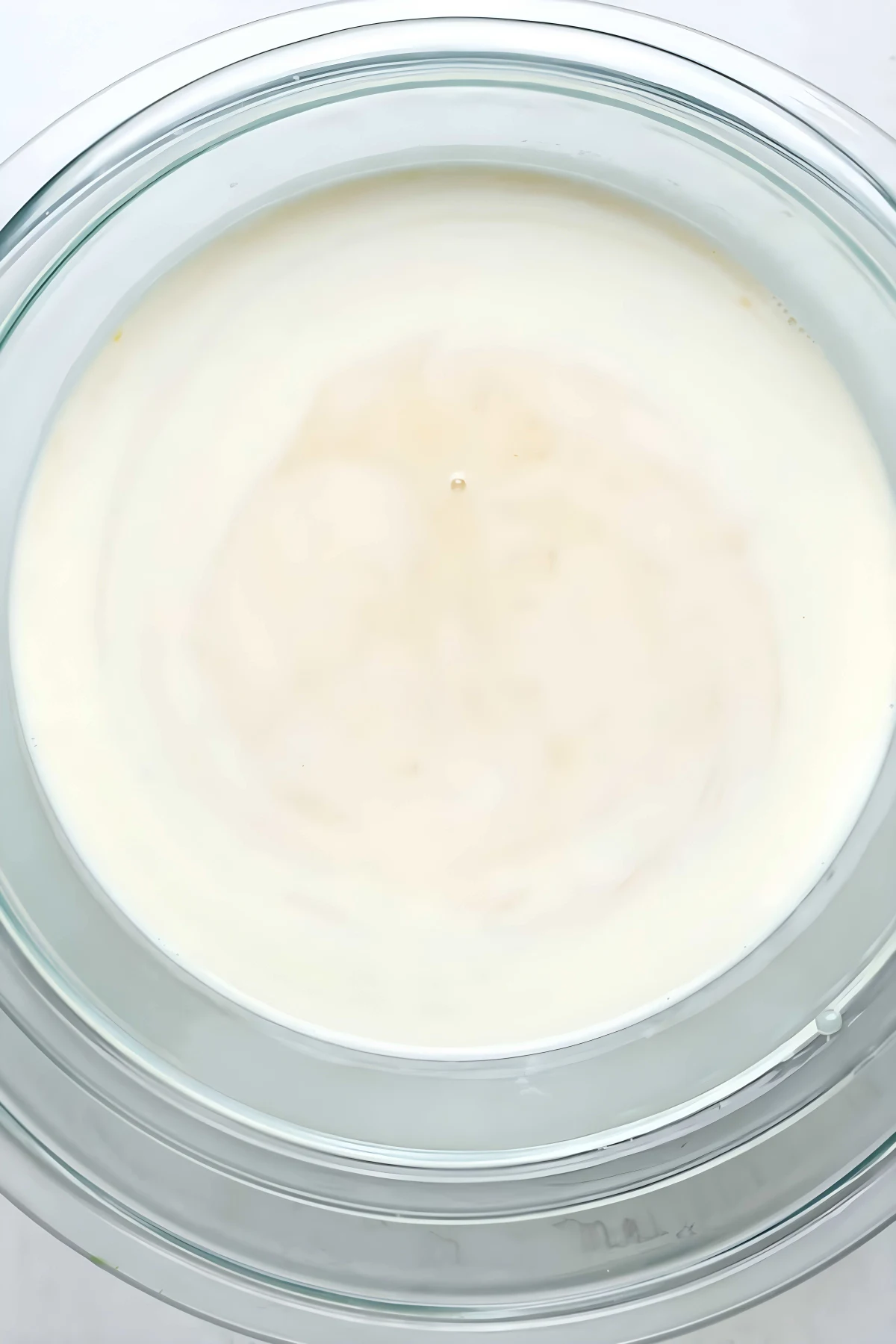 Butter Pecan Ice Cream