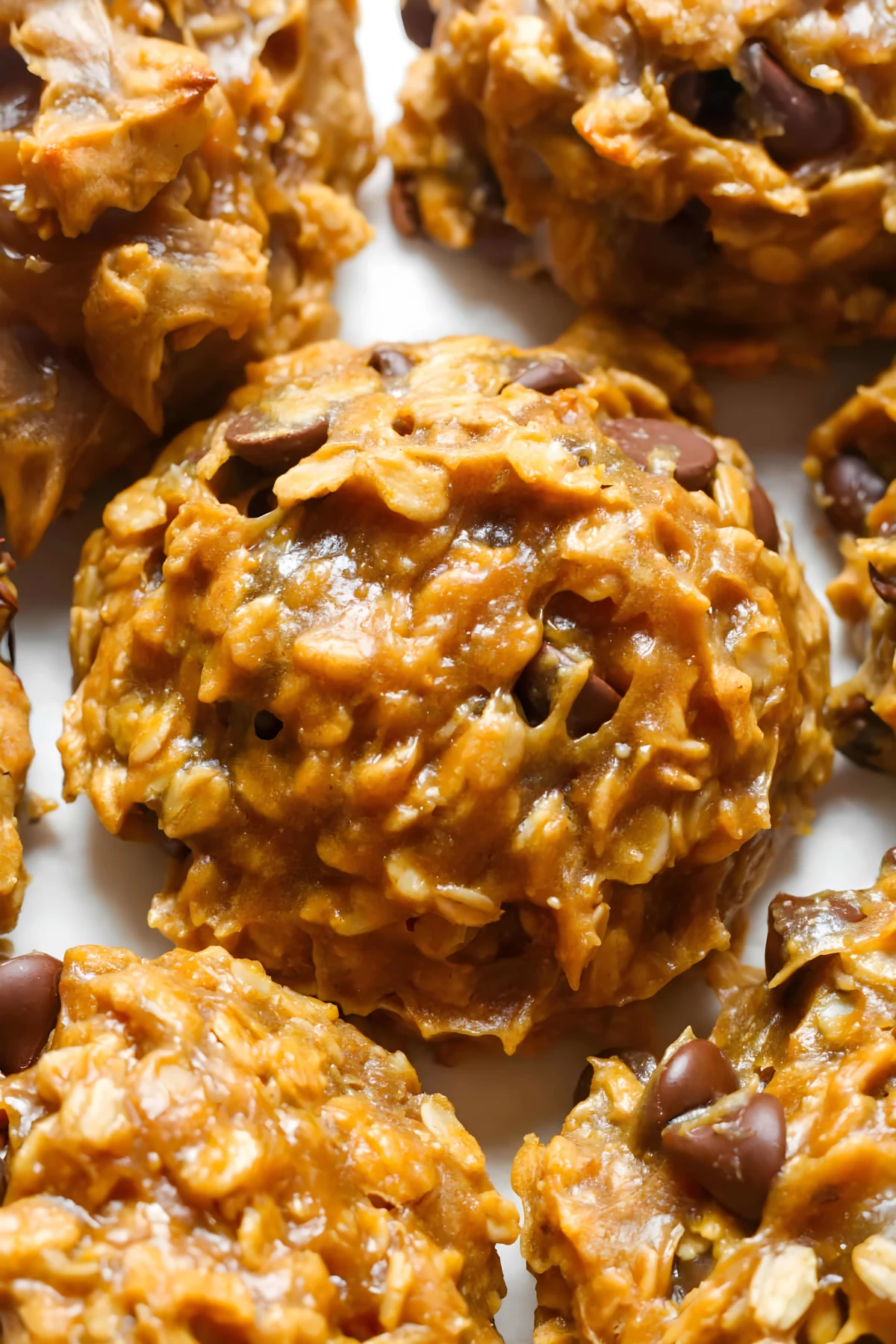 Flourless Oatmeal Cookies