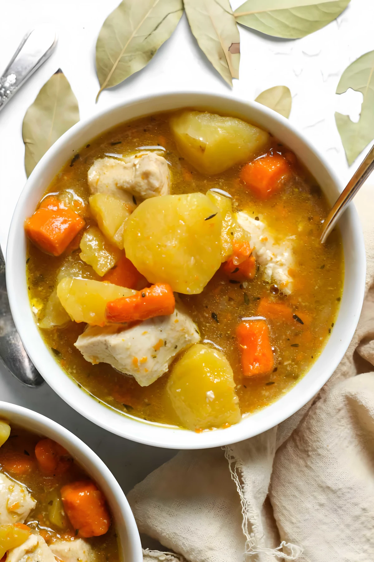 Instant Pot Chicken Stew