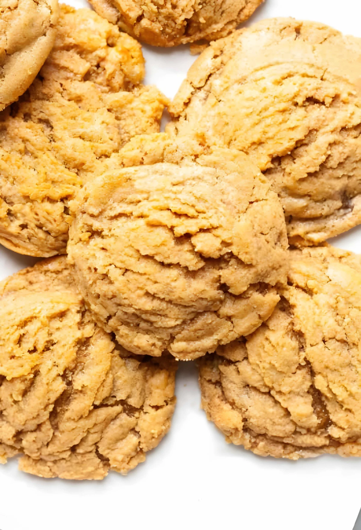 Cashew Butter Cookies