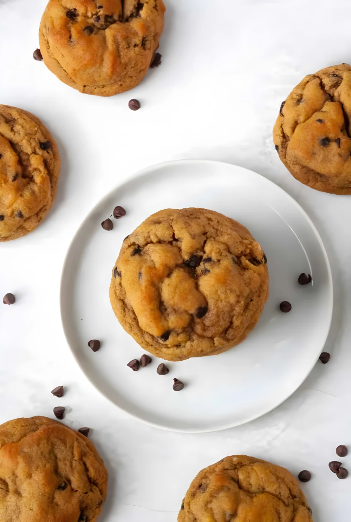 Paleo Gingerbread Chocolate Chip Cookies