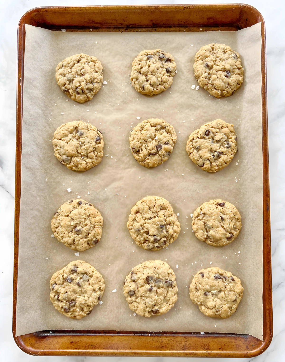 Vegan Oatmeal Chocolate Chip Cookies