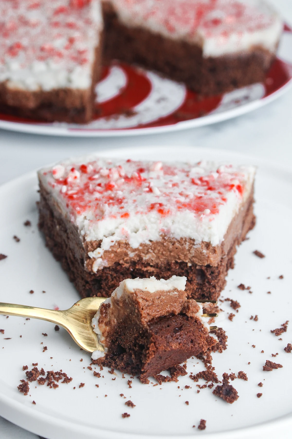 Vegan Peppermint Mocha Mousse Cake