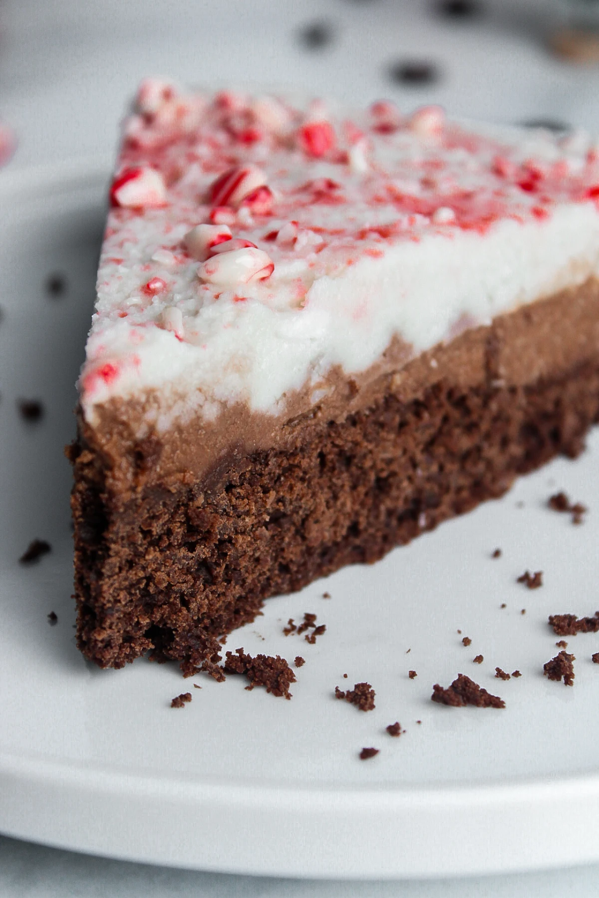Vegan Peppermint Mocha Mousse Cake
