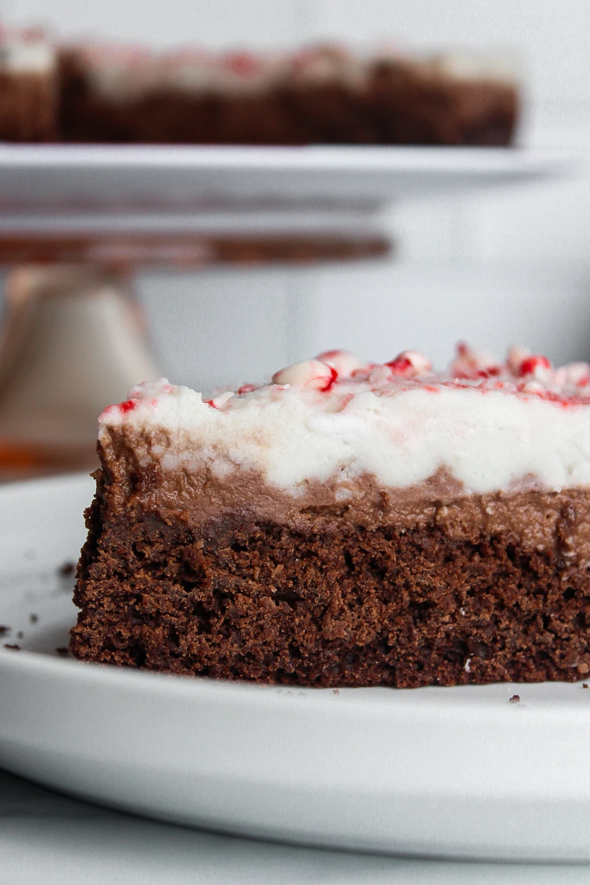 Vegan Peppermint Mocha Mousse Cake