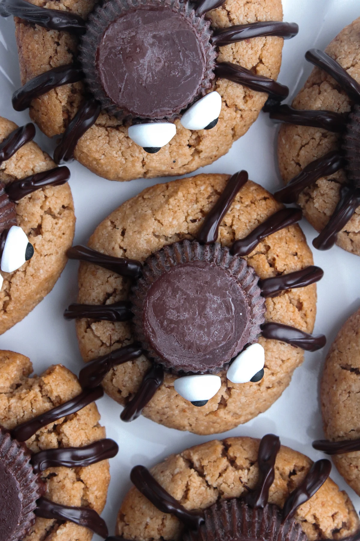 Peanut Butter Spider Cookies (Vegan, Gluten Free)