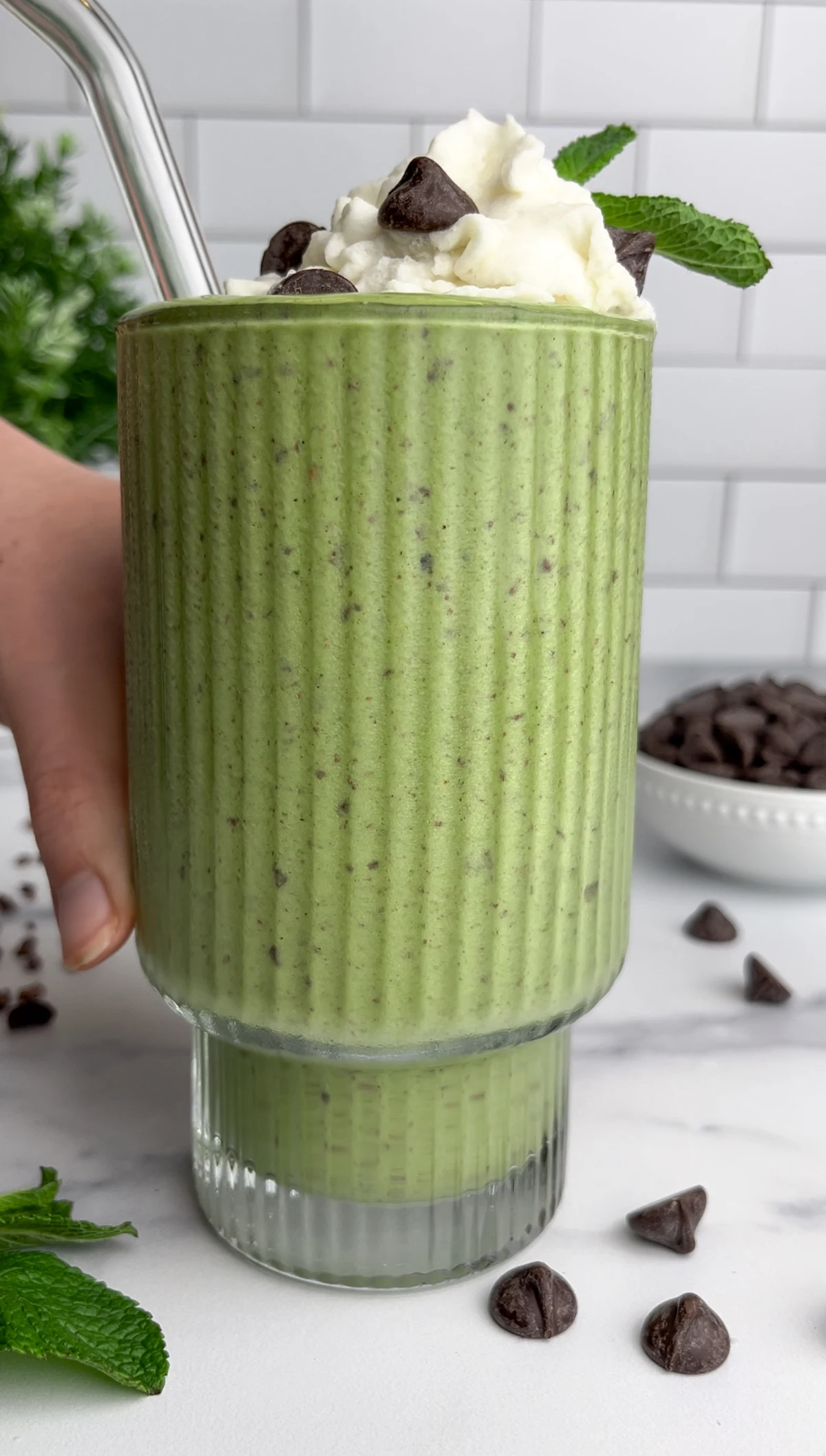 Mint Chocolate Chip Smoothie