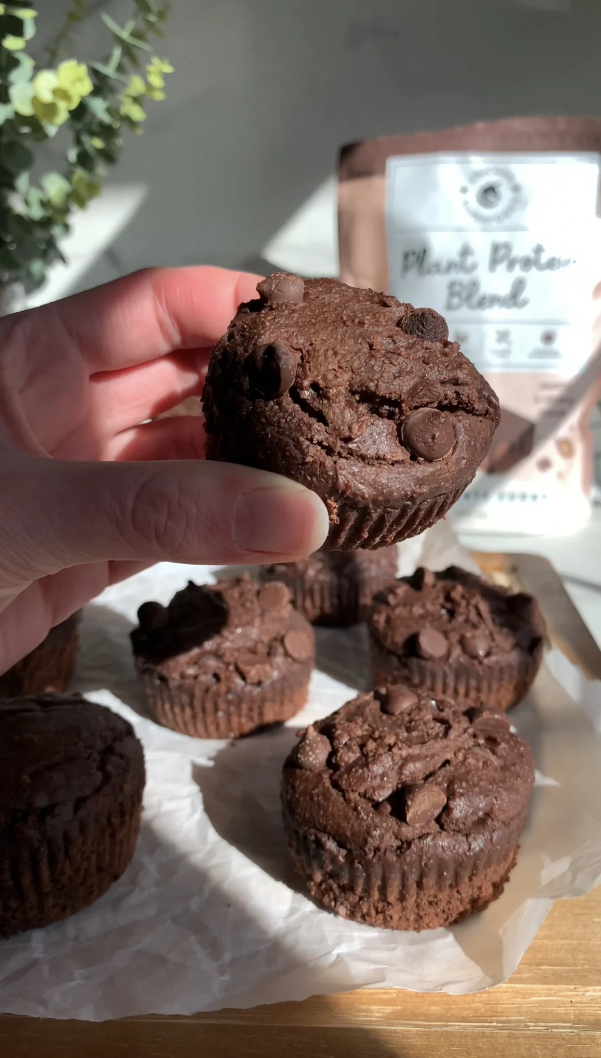Chocolate Protein Muffins (Vegan, Gluten Free)